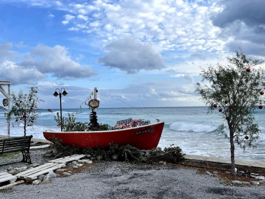 Photo 45