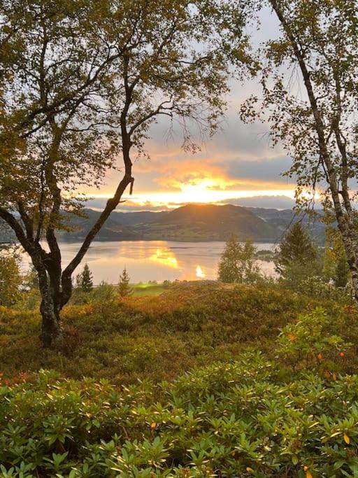 Stabbur med fantastisk utsikt! view 5