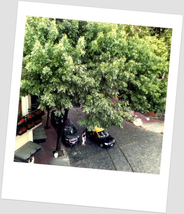 Departamento a metros de plaza Dorrego, San Telmo