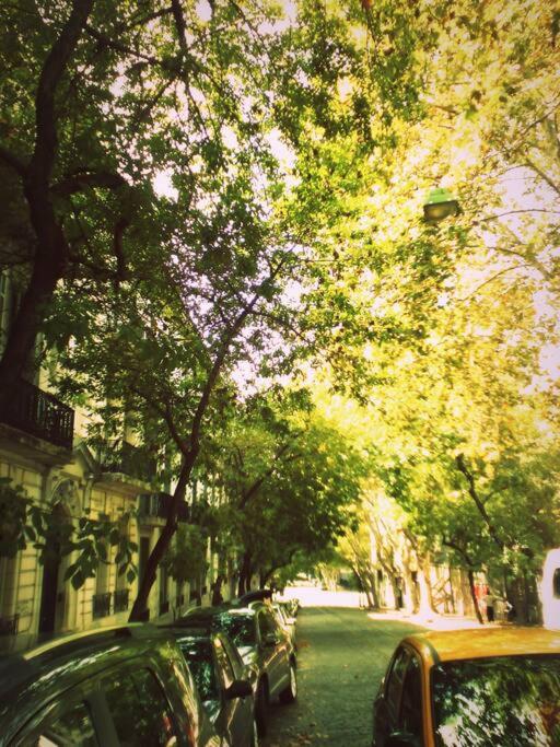 Departamento a metros de plaza Dorrego, San Telmo