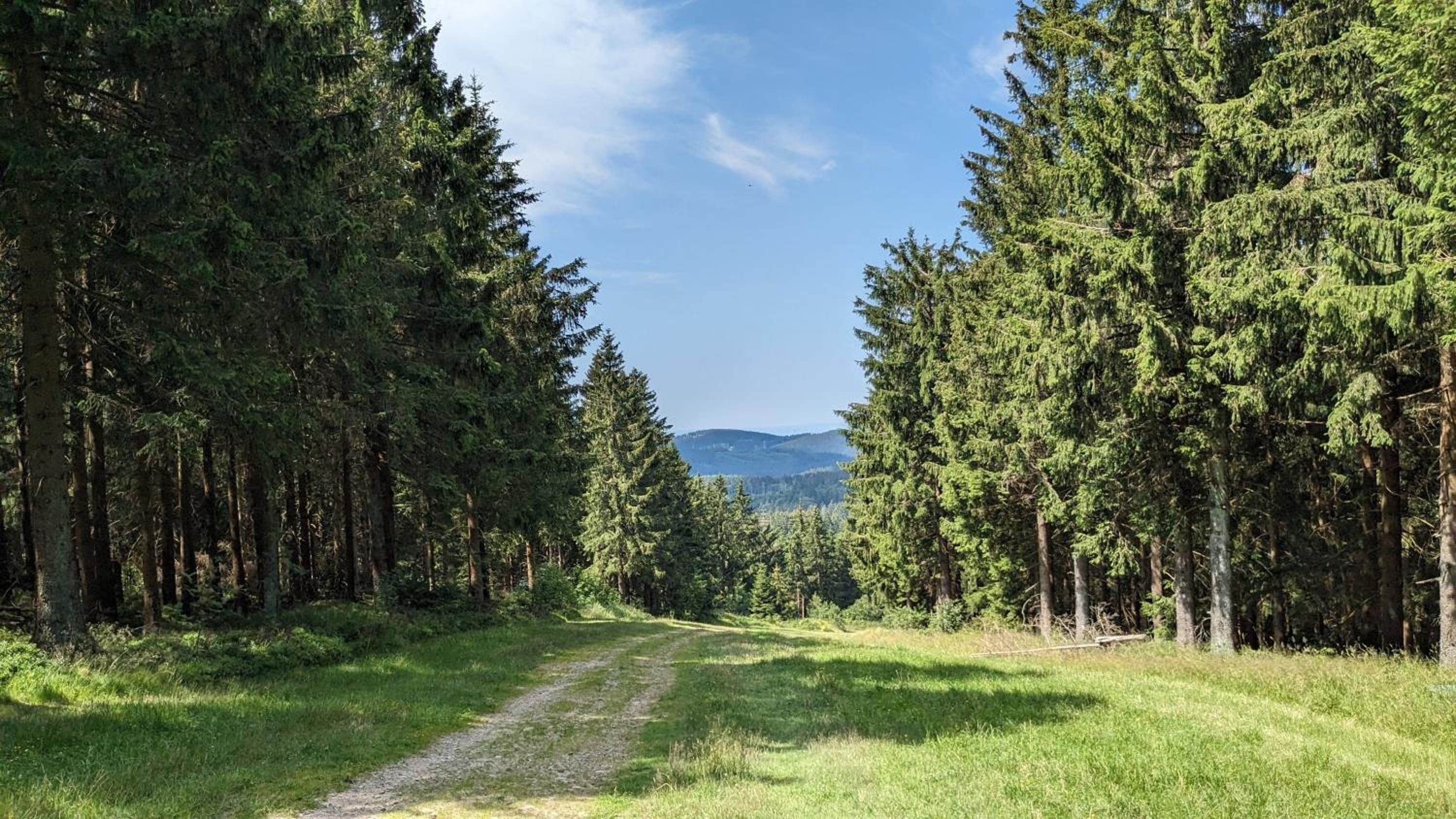 Chill Out Apartment Bergblick