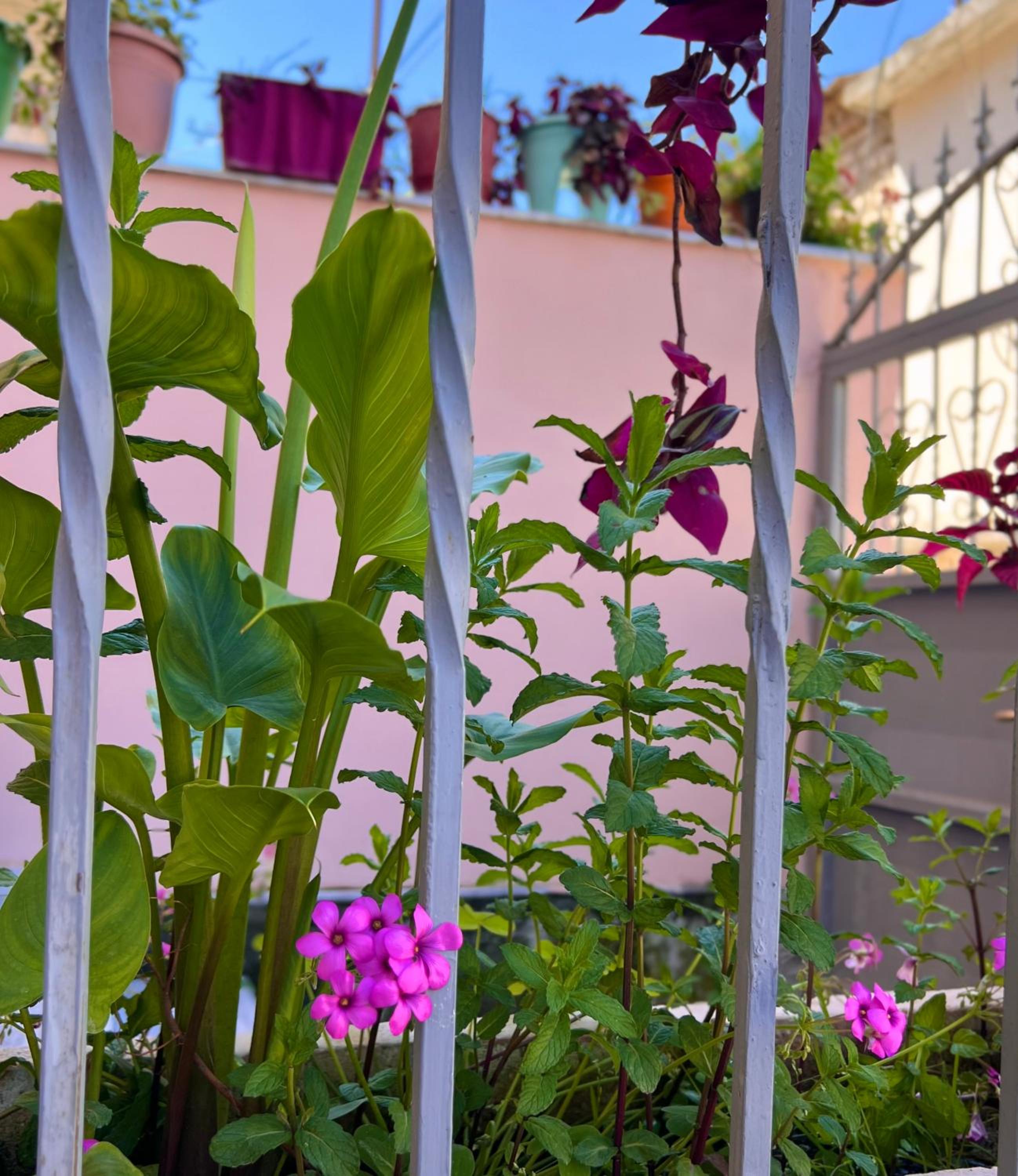 Villa EnSalv & Room & Apartment & Penthouse-Berat