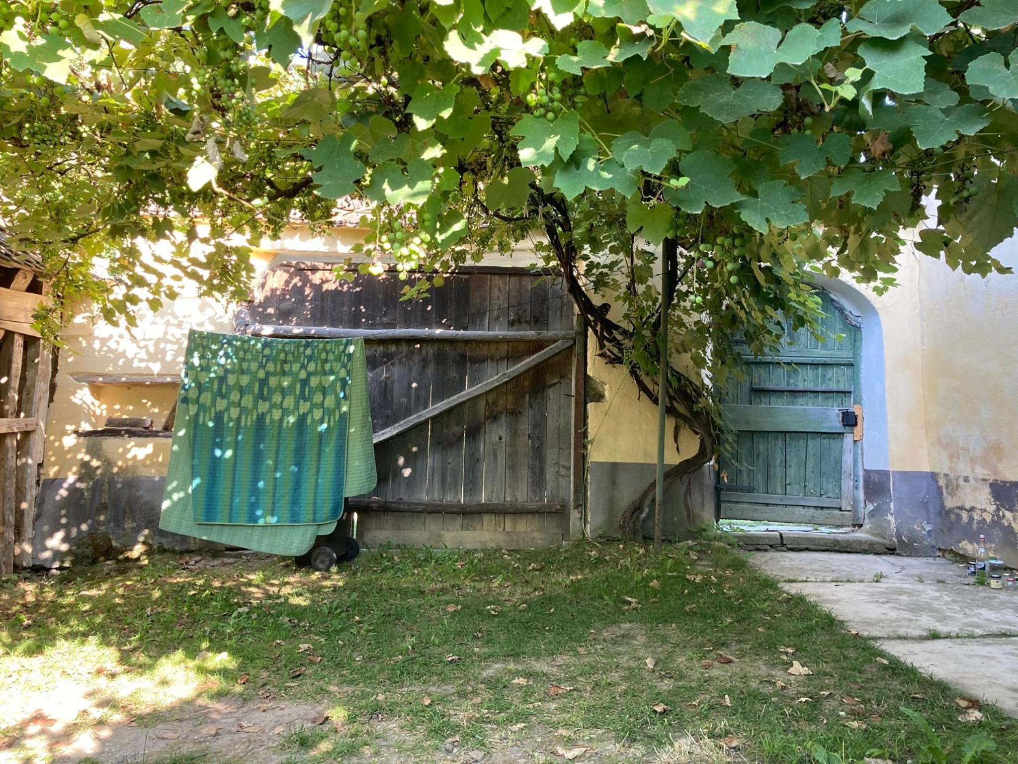 Photo 36