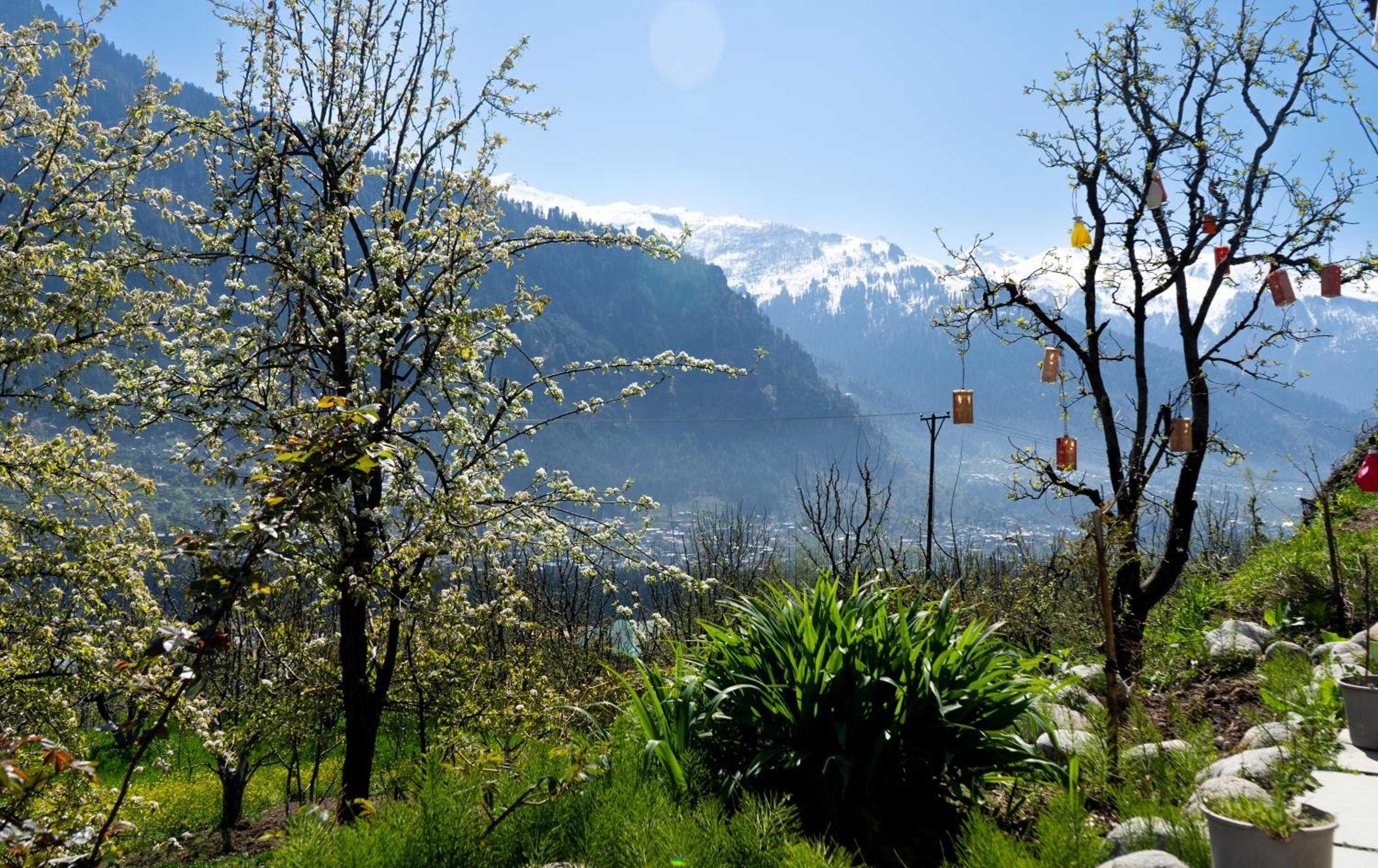 Nomadic Den Manali view 3