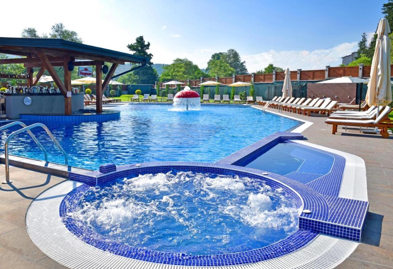 Cozy Studio in The Regnum Bansko Ski Hotel & SPA