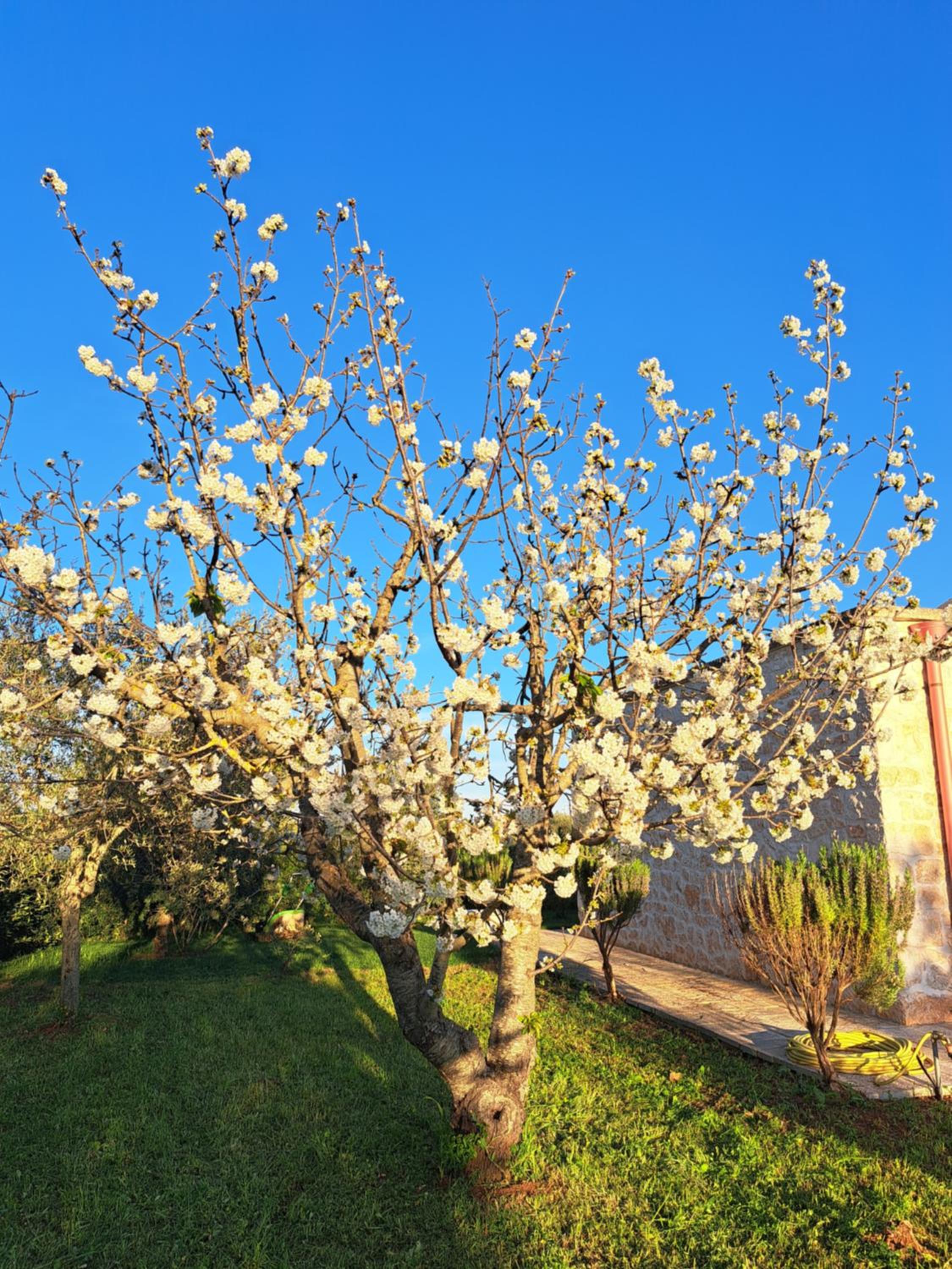 Fogliantica Azienda Agrituristica