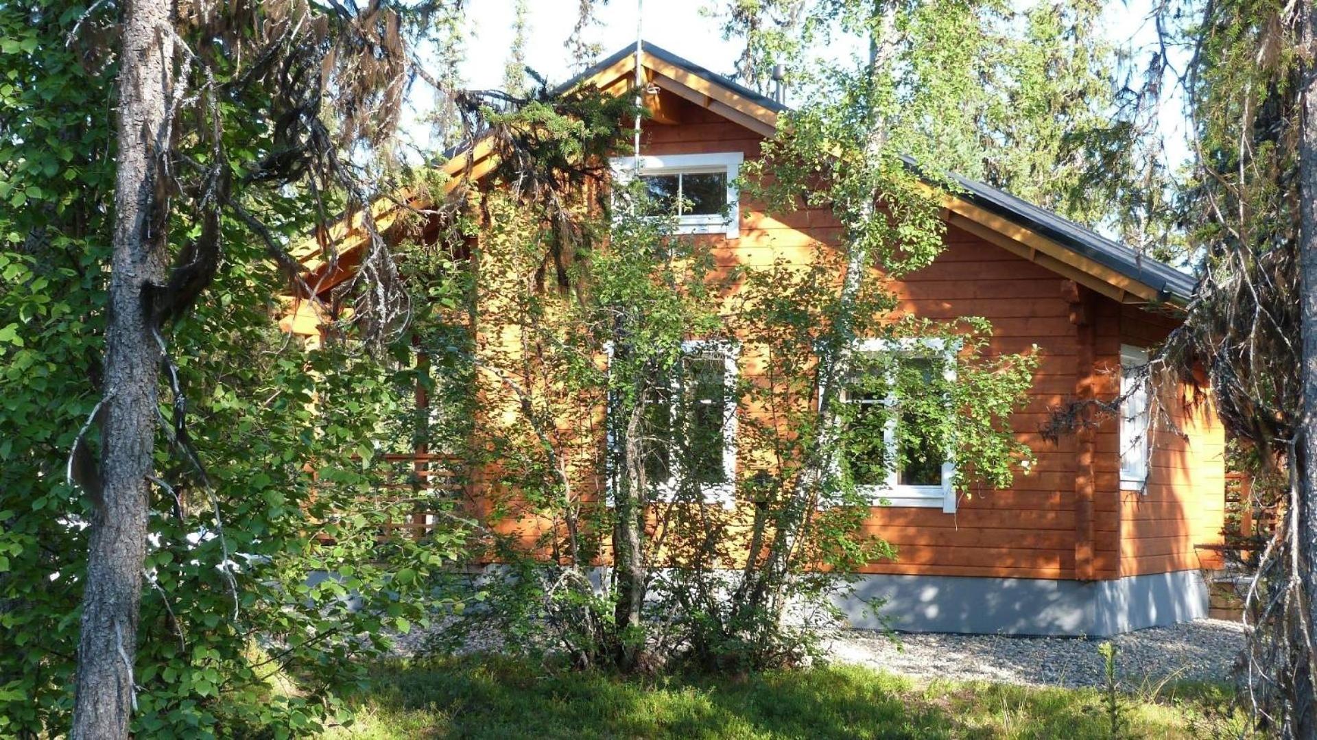 Iltarusko