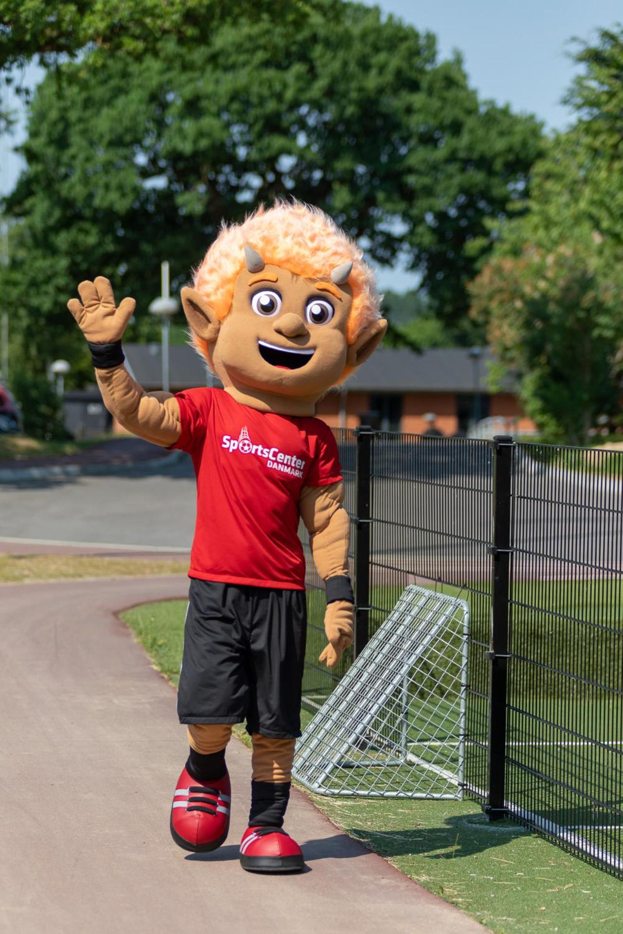Sportsby Vejen - Danhostel, huse og lejligheder