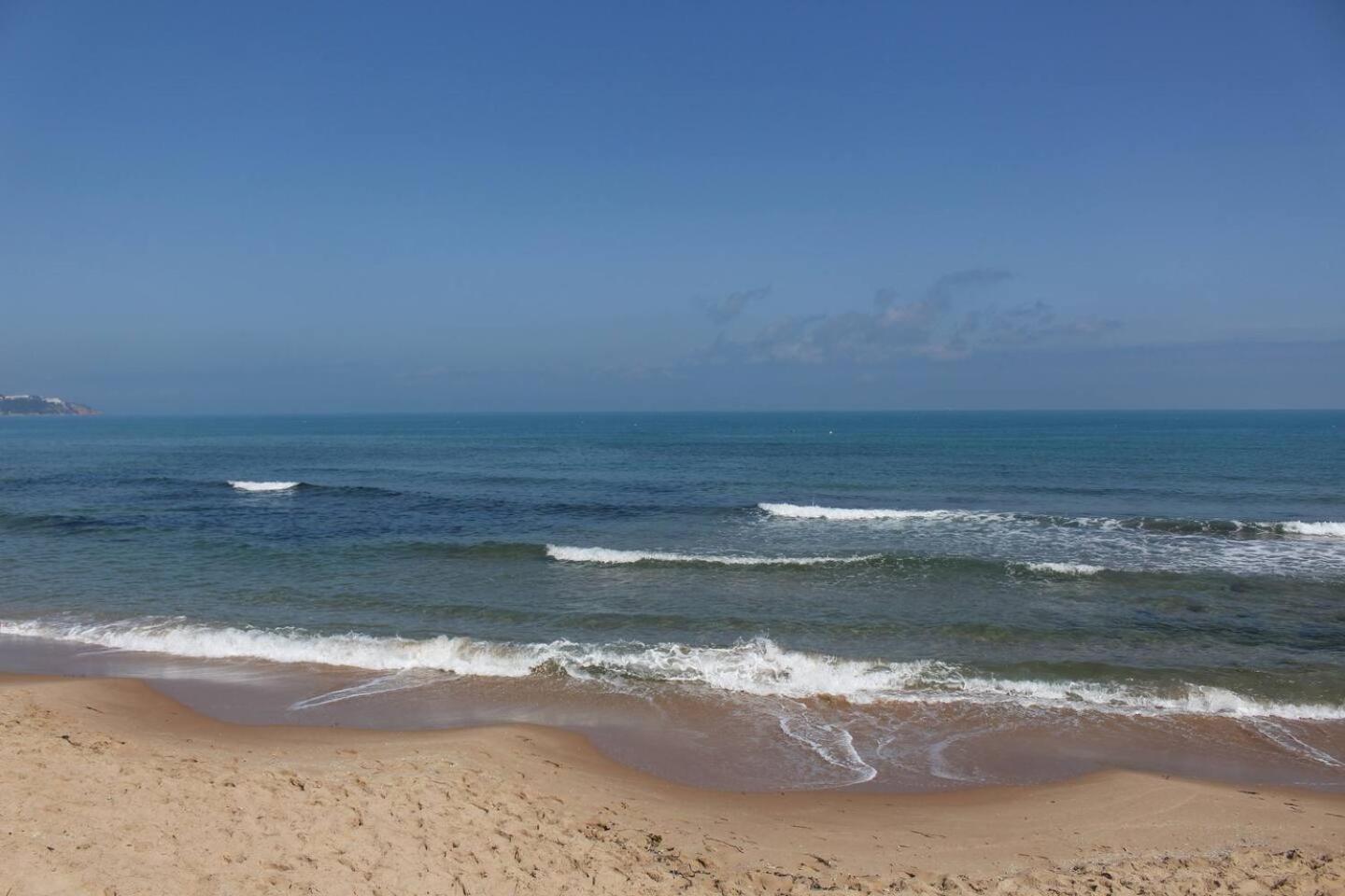 Appartement vue mer au coeur de la Marsa avec une grande terrasse privée view 5
