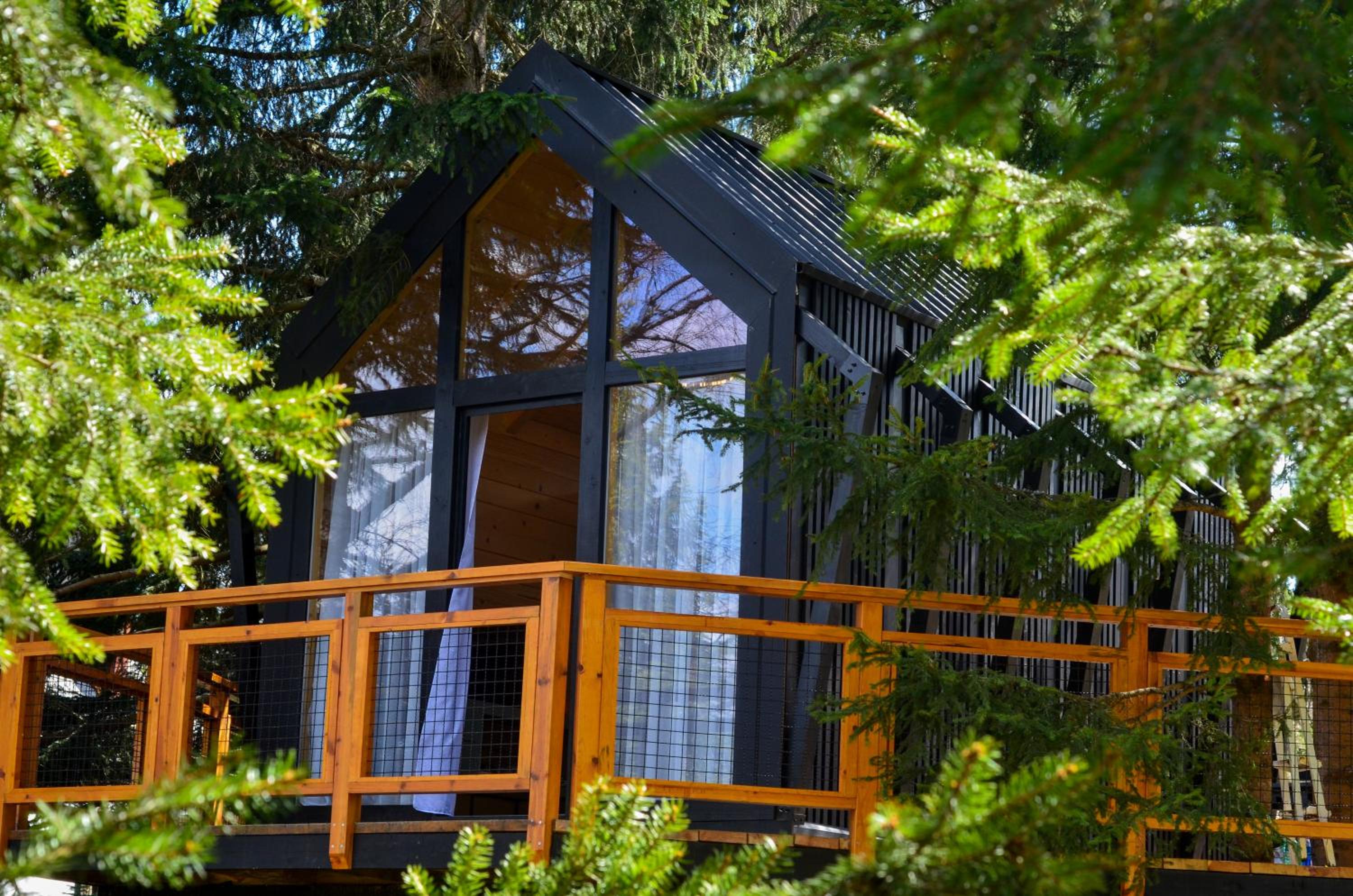 Kuća na drvetu - Zlatar Hill - Treehouse view 5
