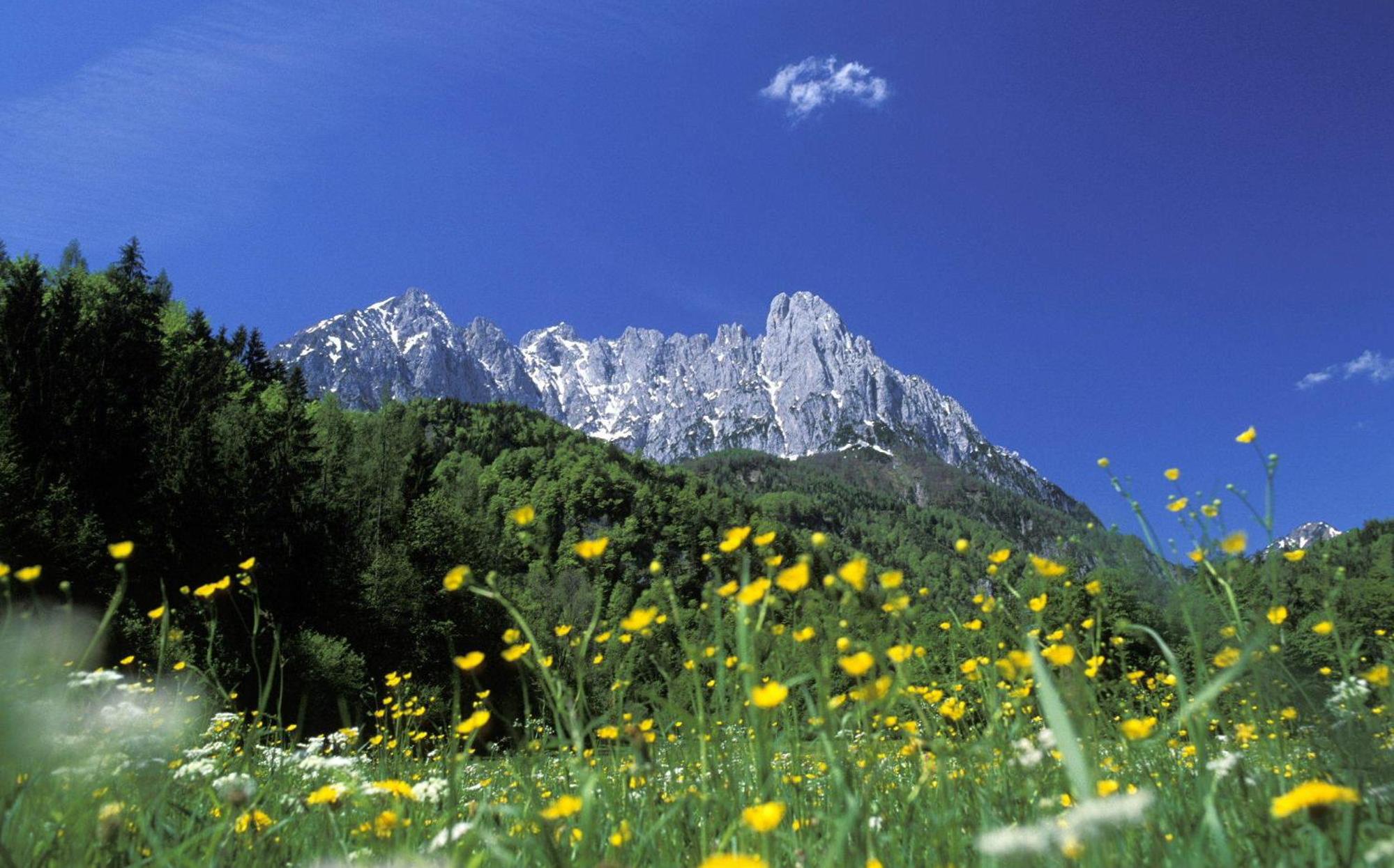 Photo 50