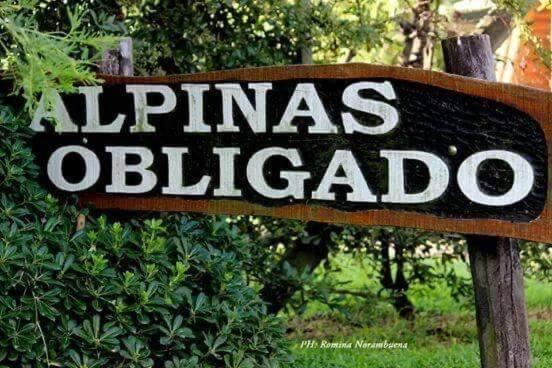 Cabaña familiar