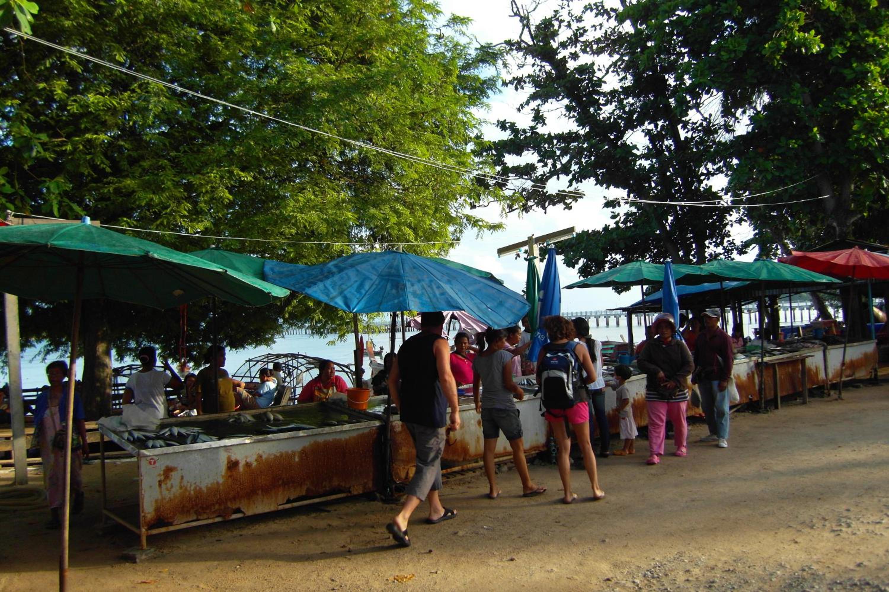Palm Village