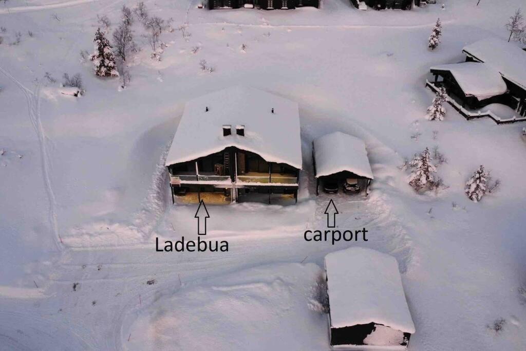 Ladebua