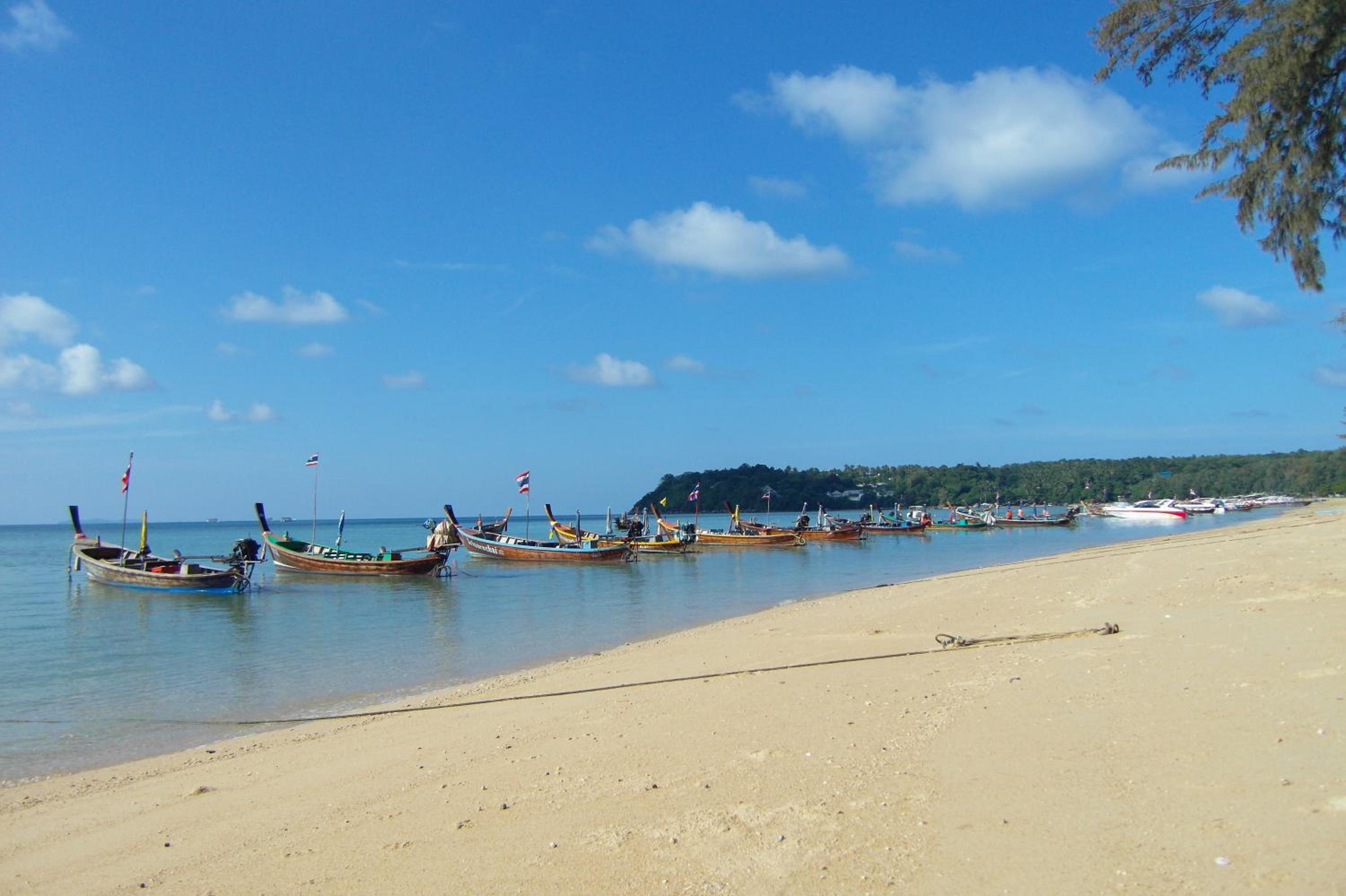 Palm Village