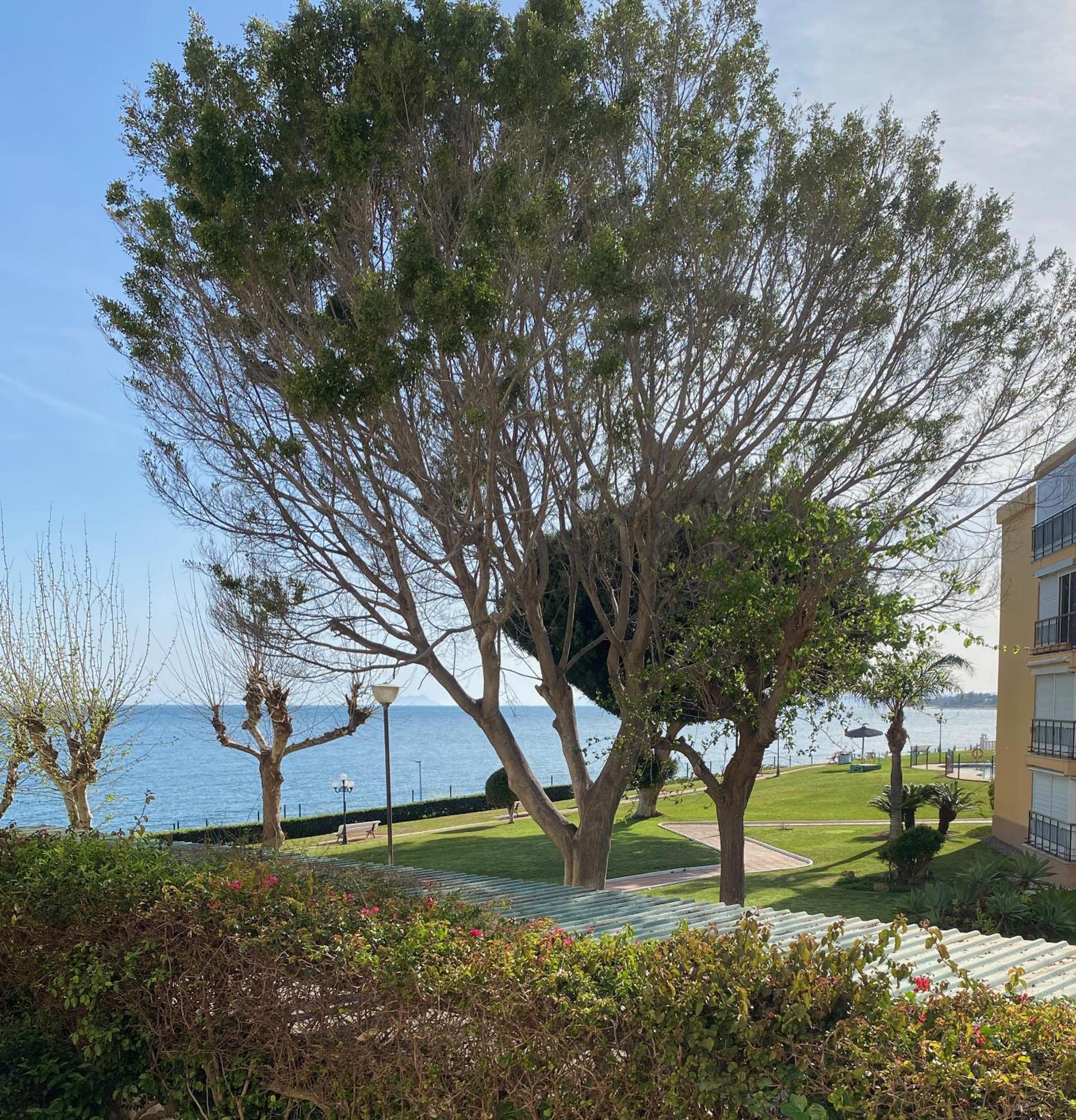 Palm Breeze Beachfront Suite