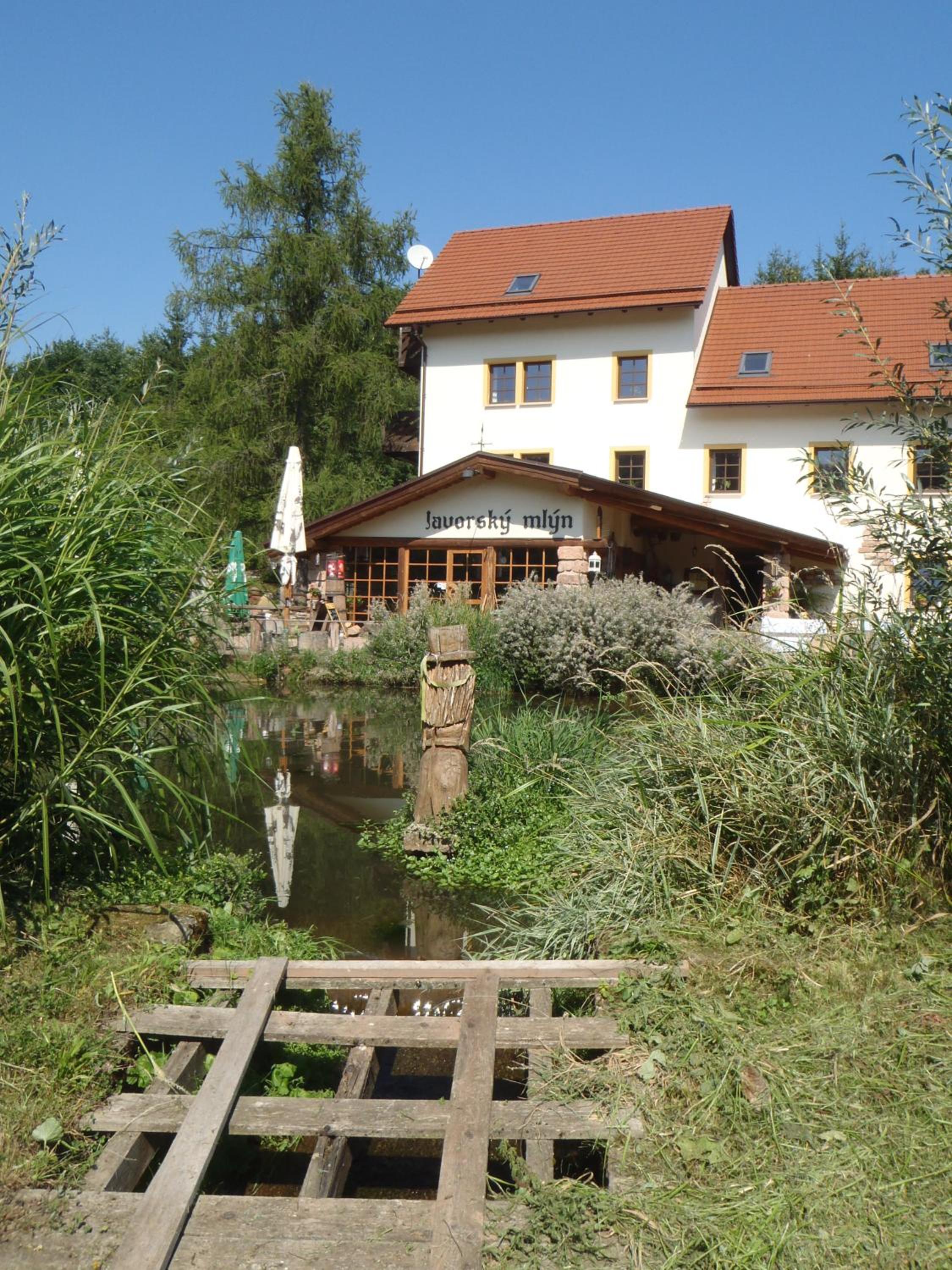 Photo 23
