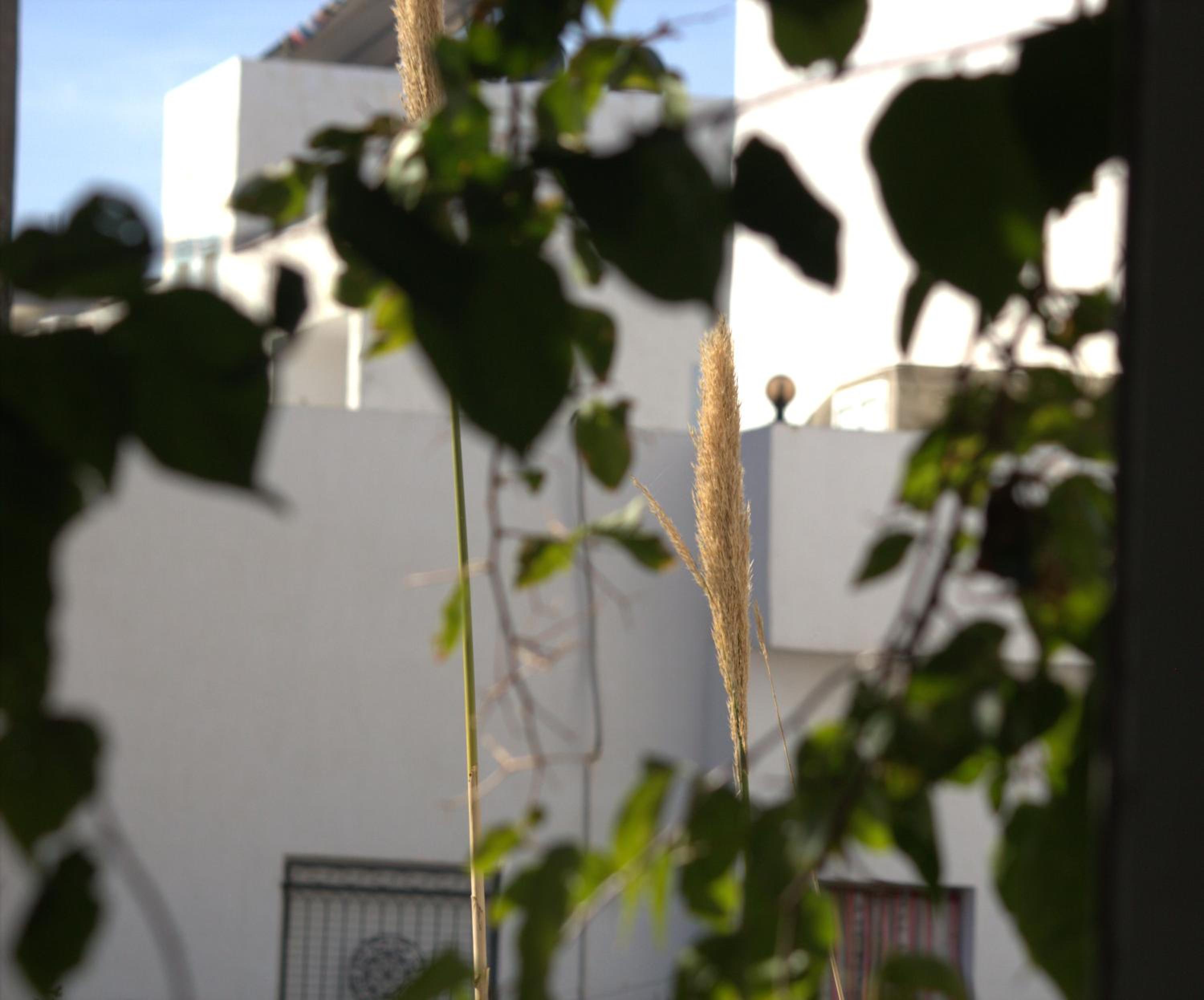 Residence Sterne