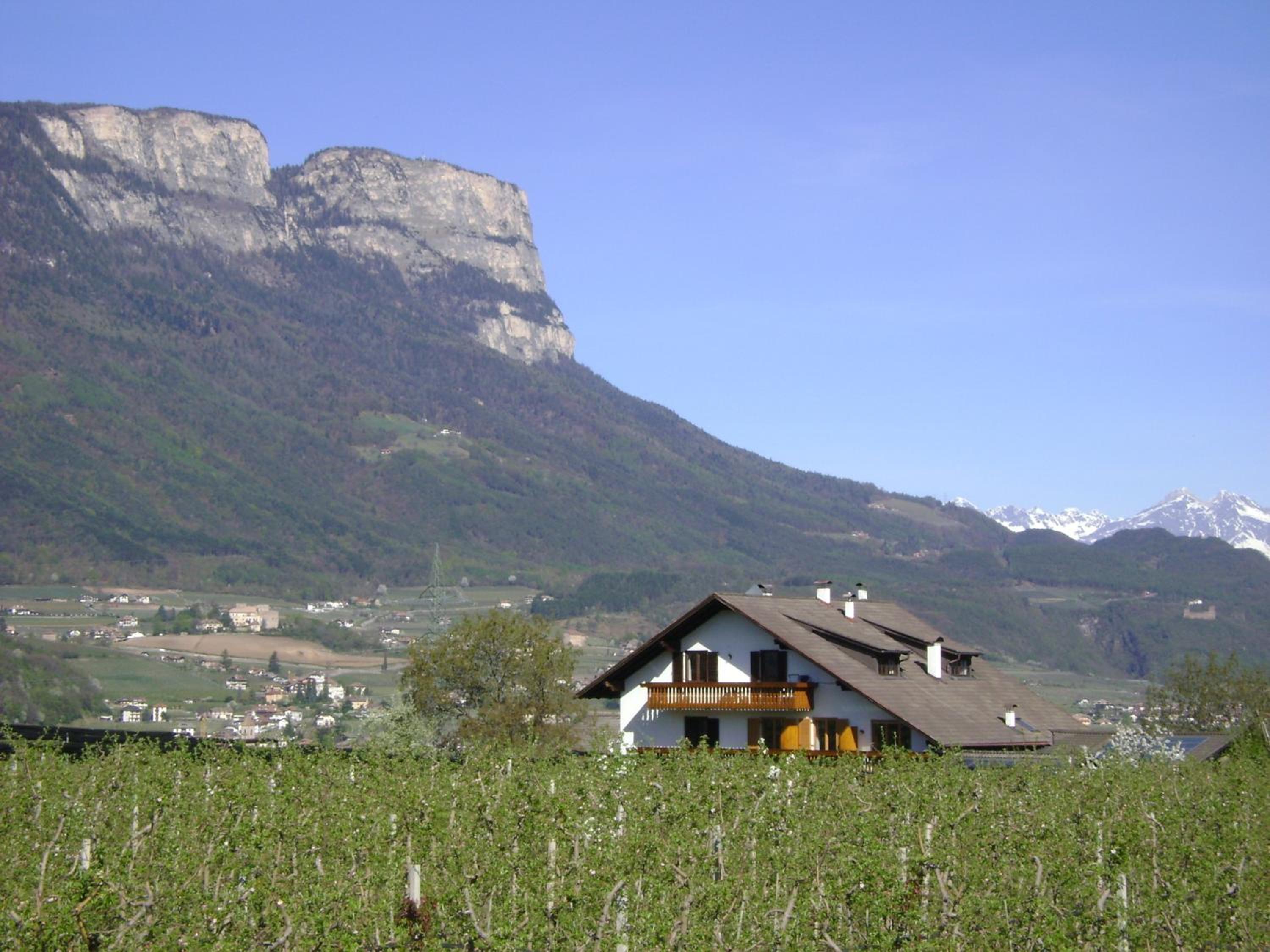 Appartements Weisshauserhof