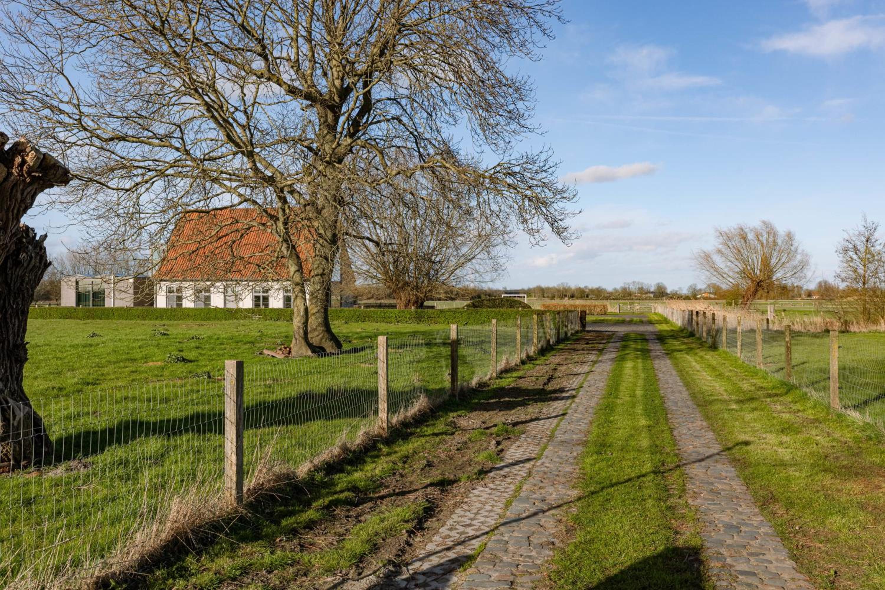Spacious holiday home for 12 persons