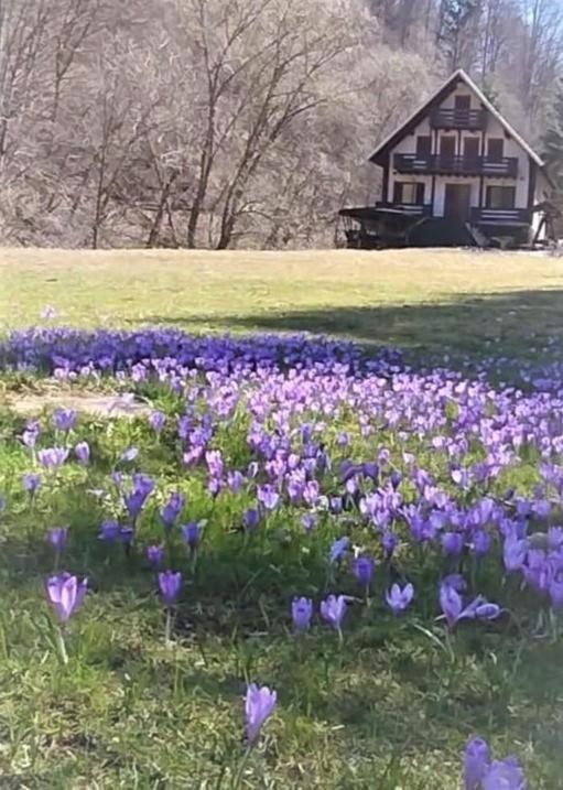 Casa de vacanta Satic Piatra Craiului La Doi viermi