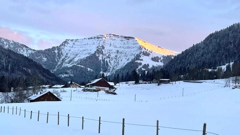"Bergparadies", Oberstaufen-Steibis view 3