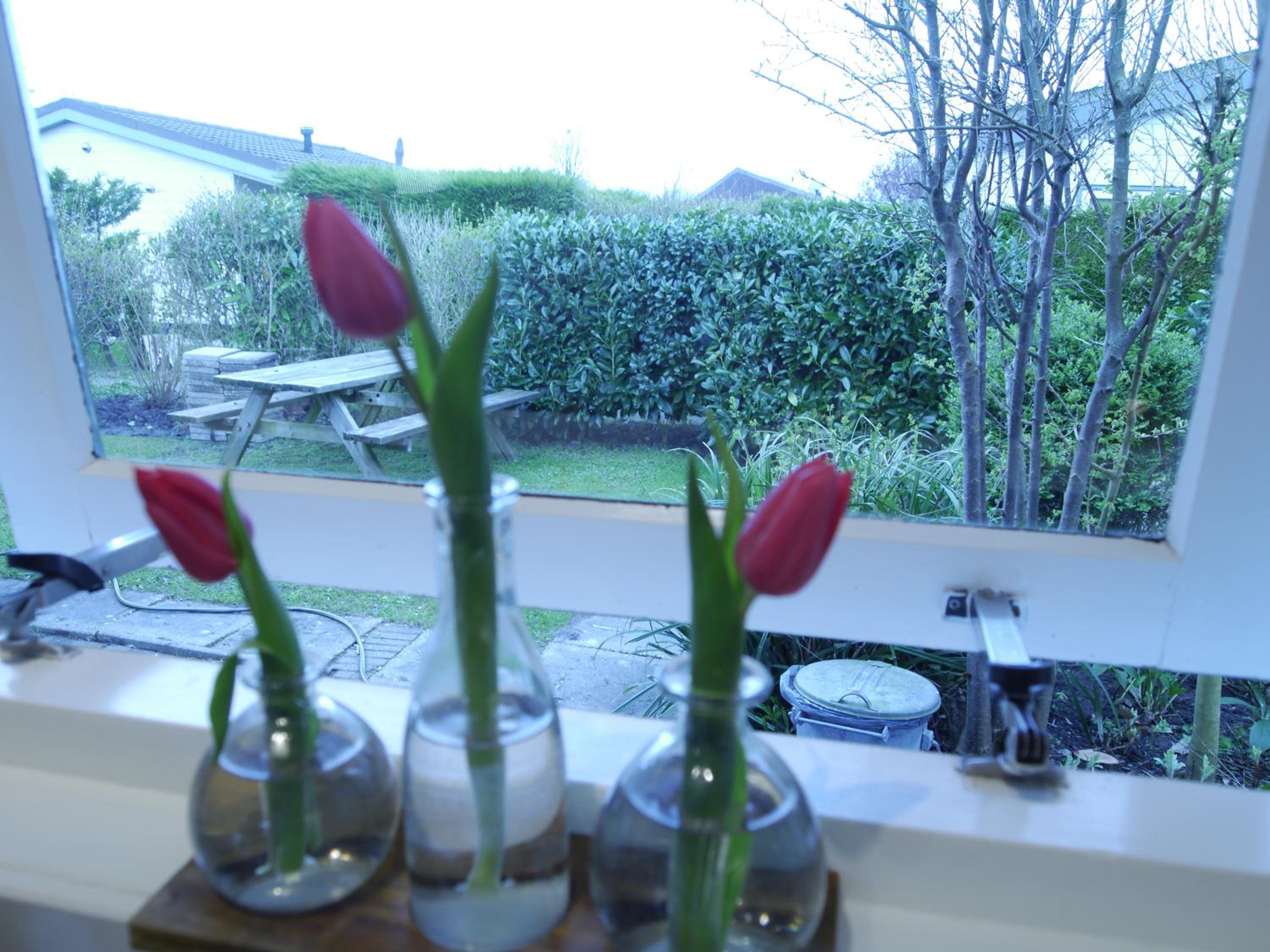 Vrije Vogels tuin met privacy