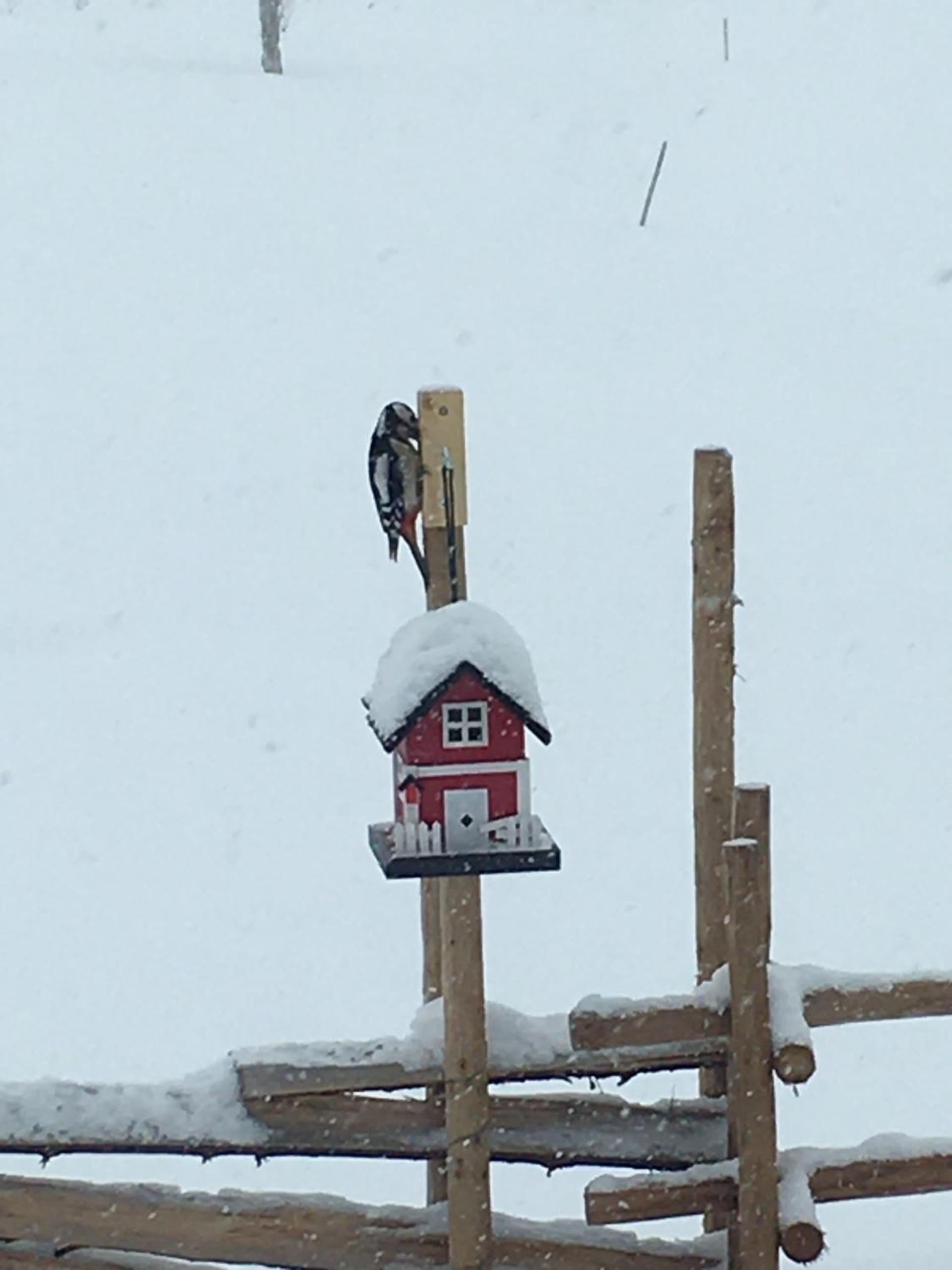 New and cozy family cabin on Golsfjellet view 4