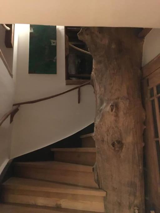 Toplage Historisches Altstadthaus Schwarzer Kater Görlitz