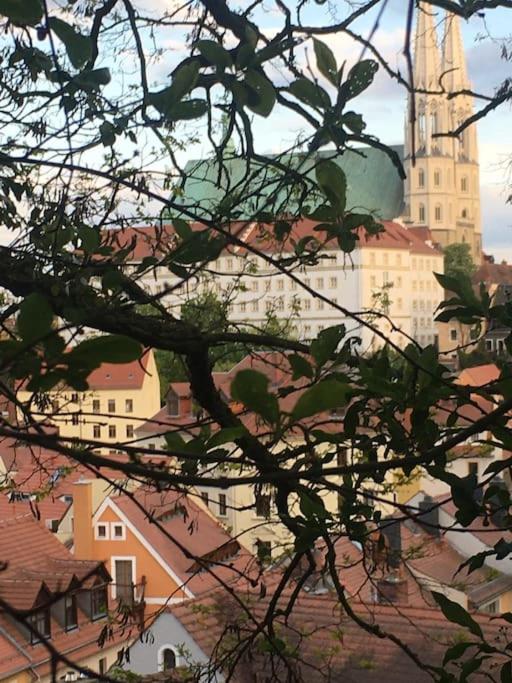 Toplage Historisches Altstadthaus Schwarzer Kater Görlitz