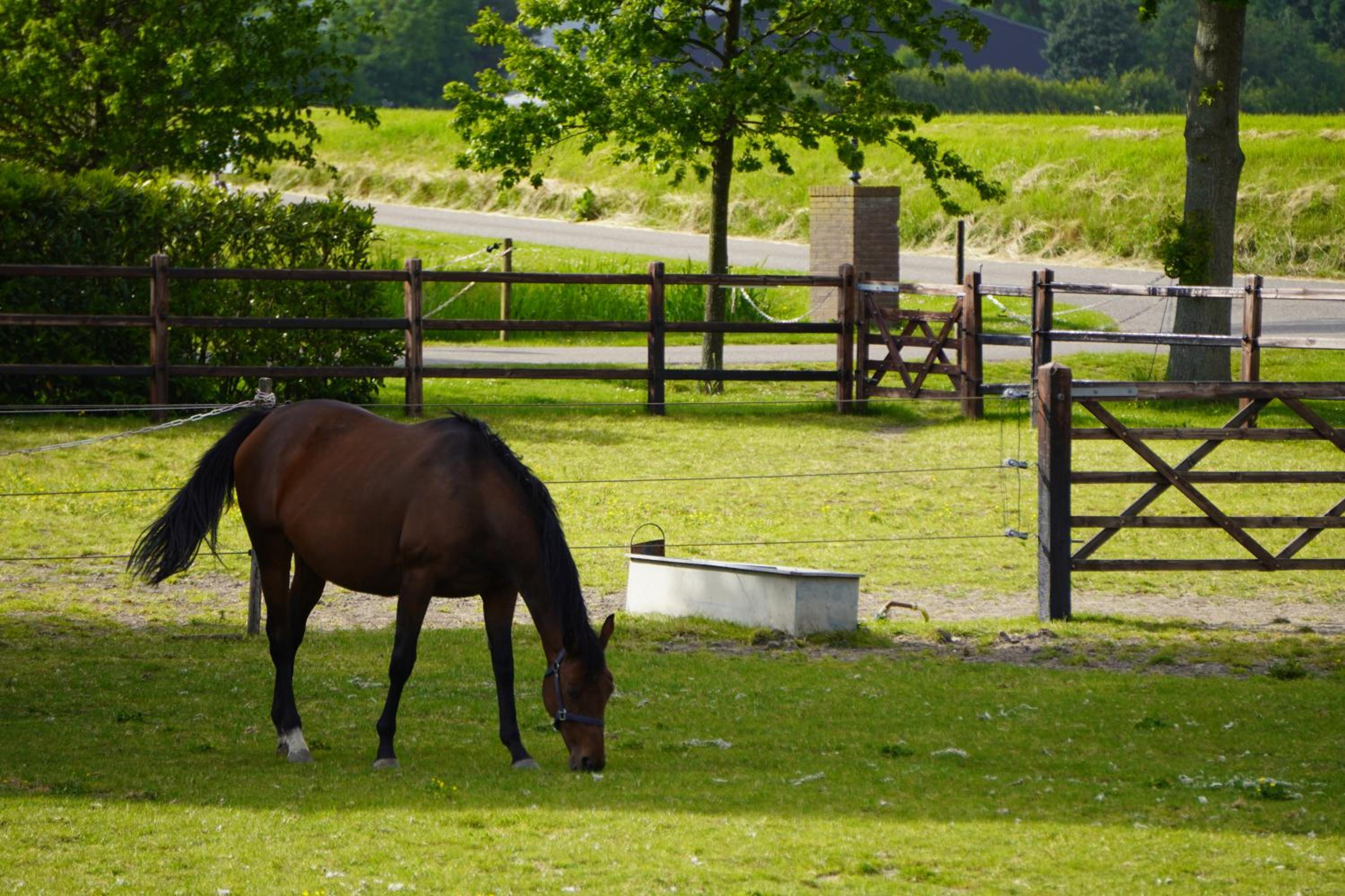B&B Catharinenburg Golf & Wellness