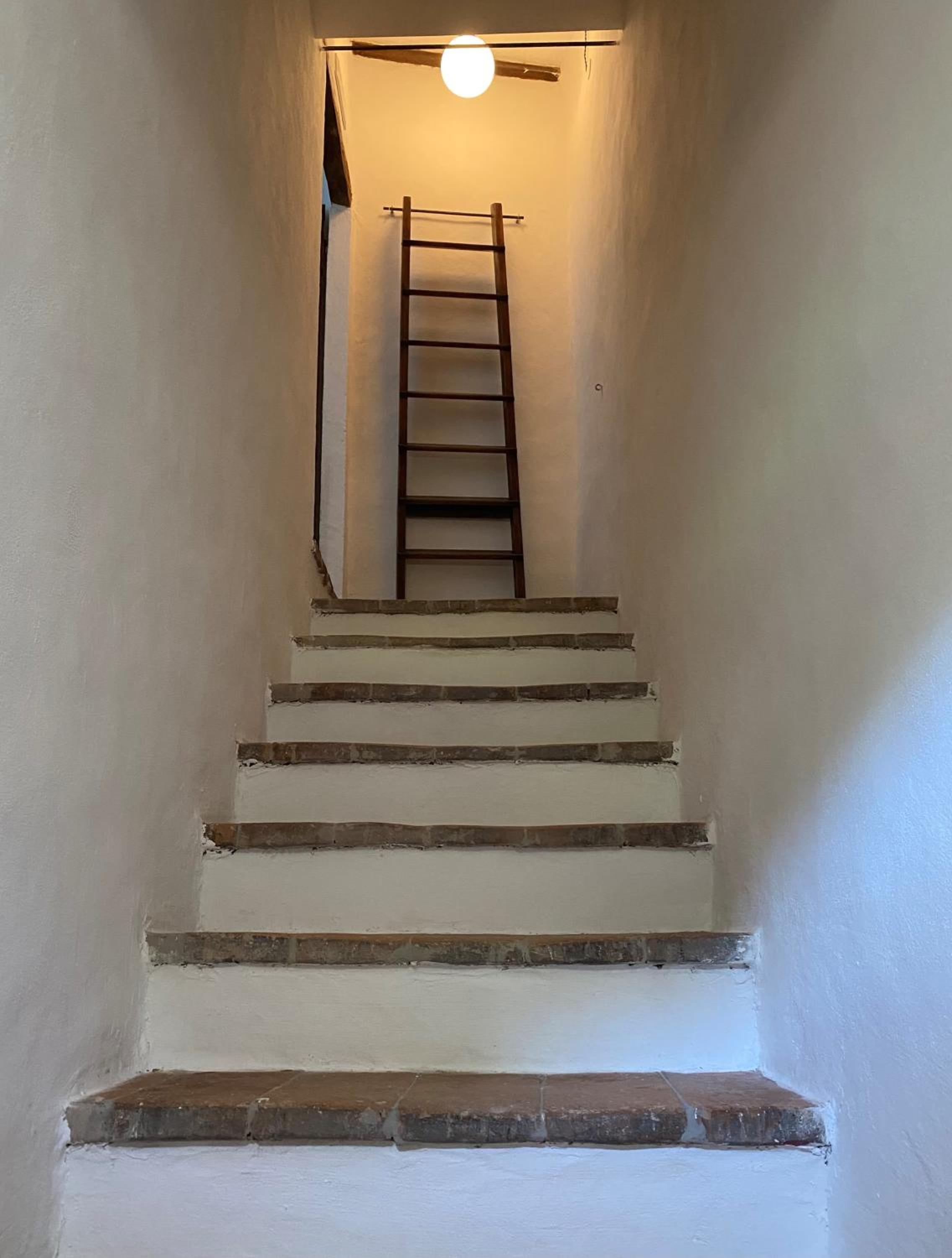 Photo 31