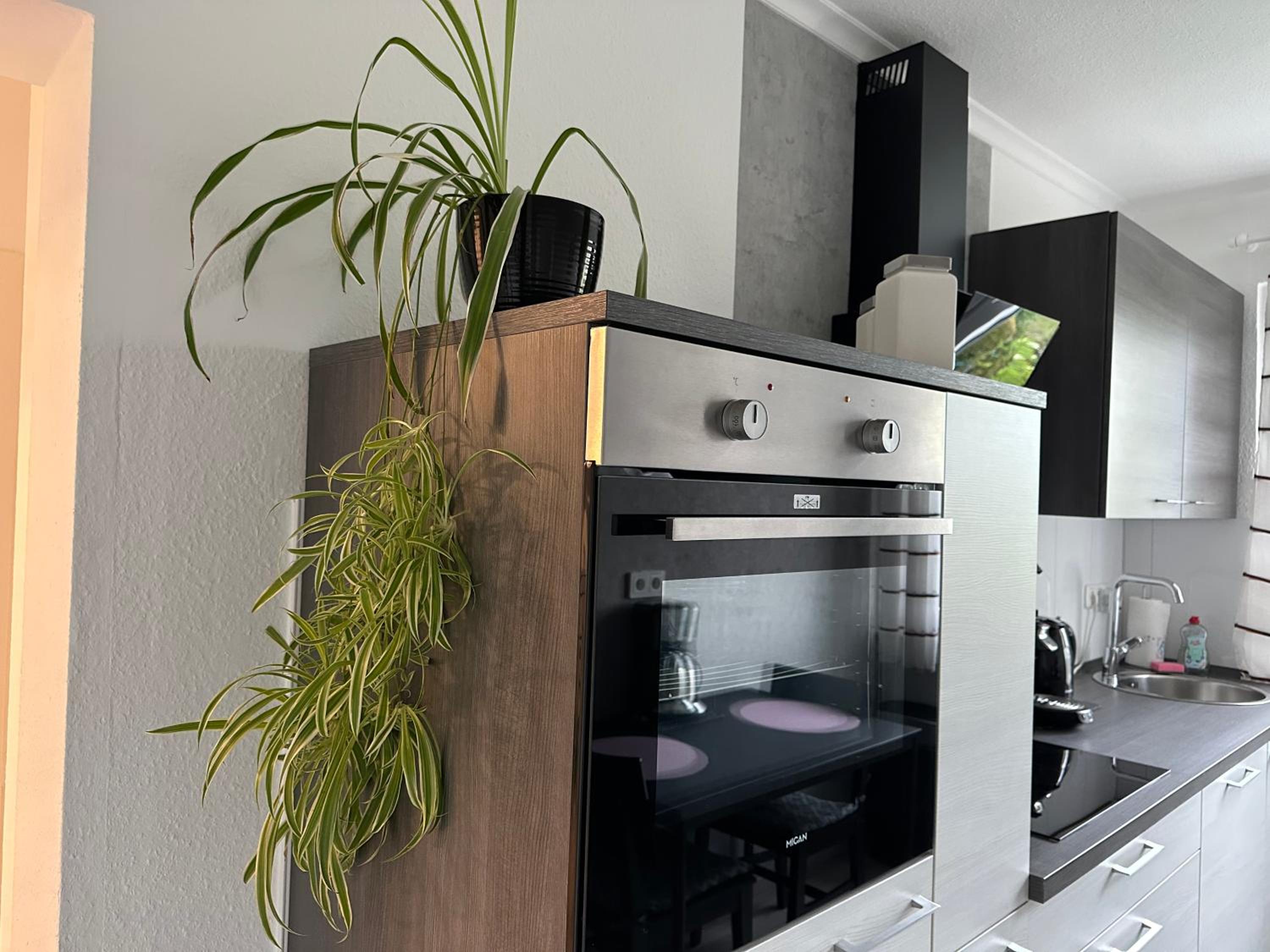 Ferienwohnung in Hattingen Südstadt