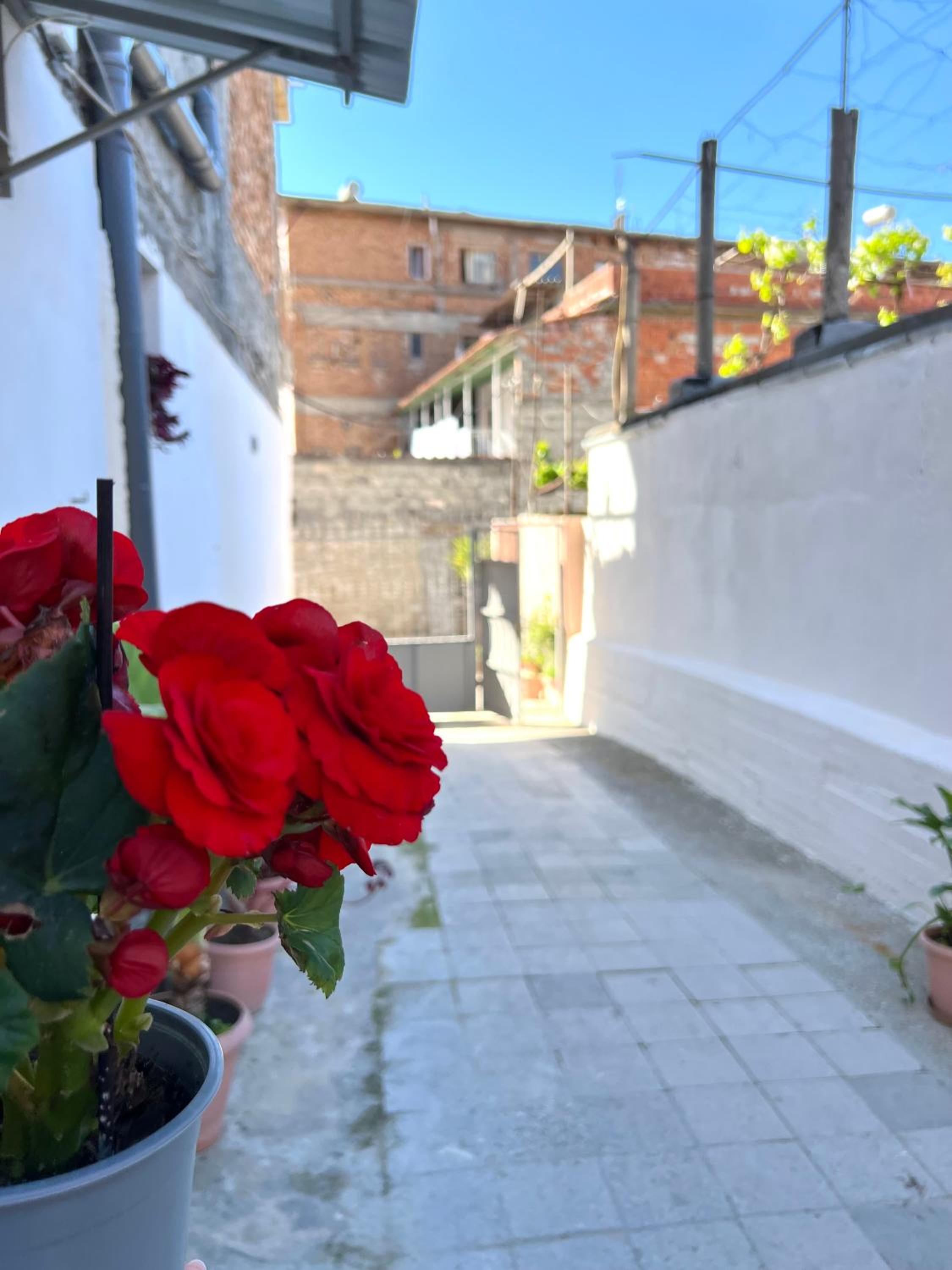 Villa EnSalv & Room & Apartment & Penthouse-Berat