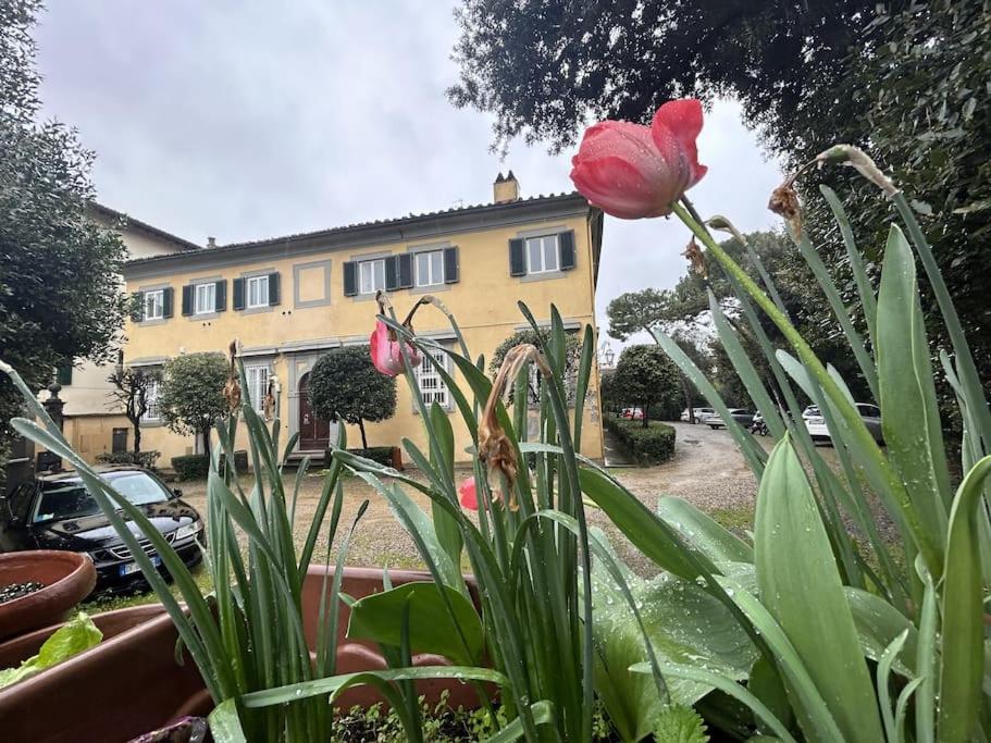 Residenza Storica in Villa Palazzo Bruciato