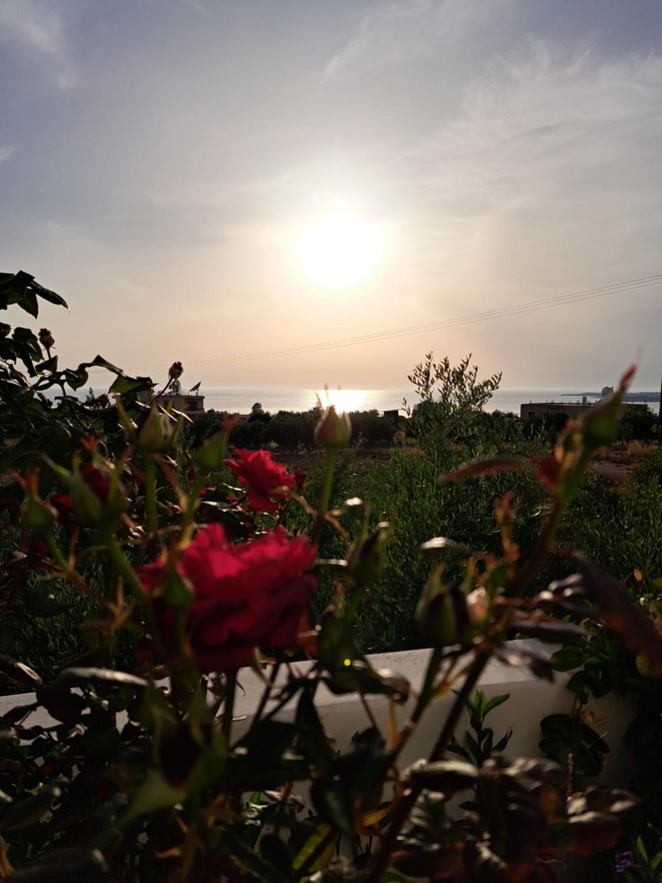Villa Enalia Paphos