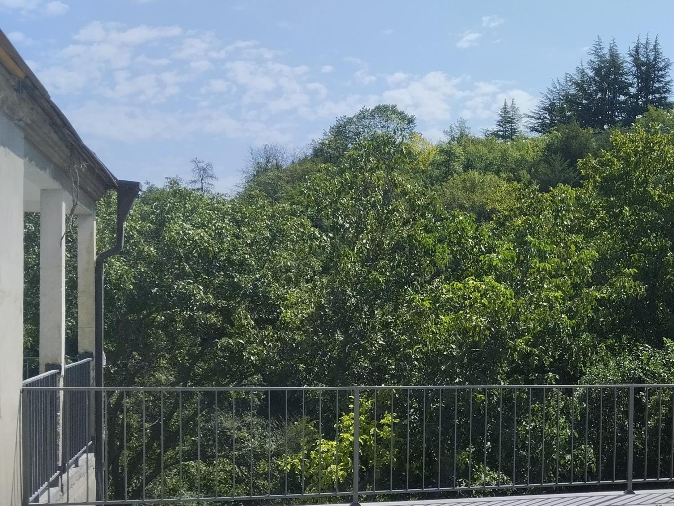 Rent House Dilijan