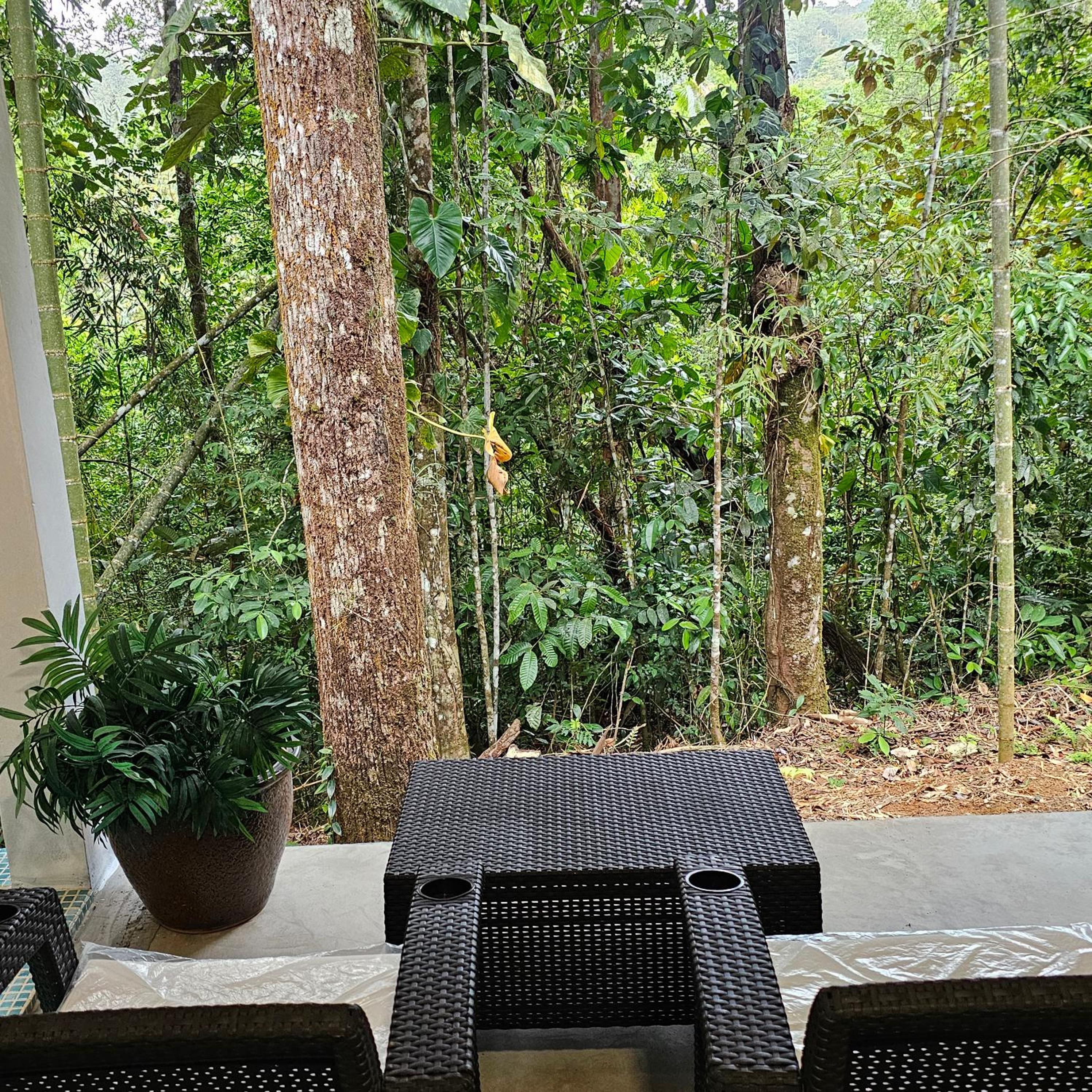 OLP Treehouse Cerro Azul view 3