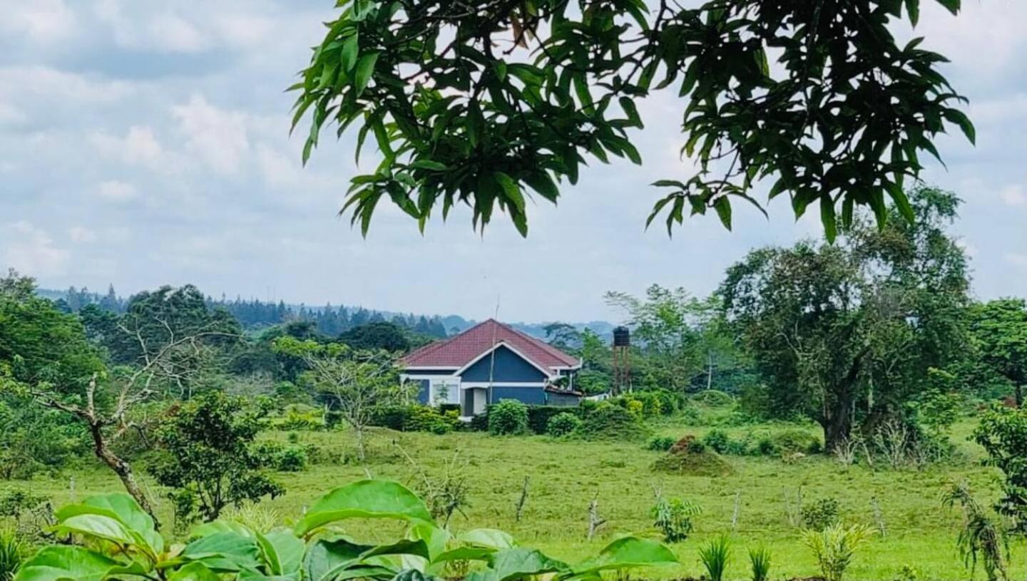 Kalunga Holiday Home