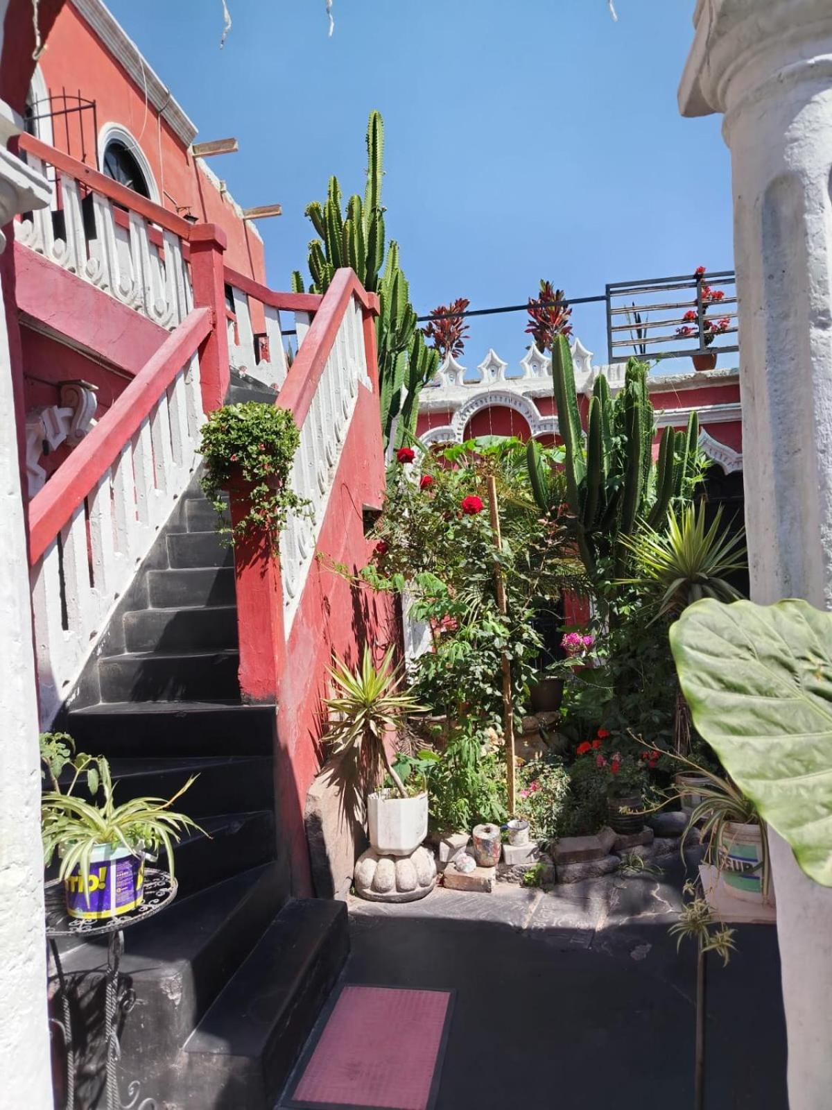 Casa Tusty
