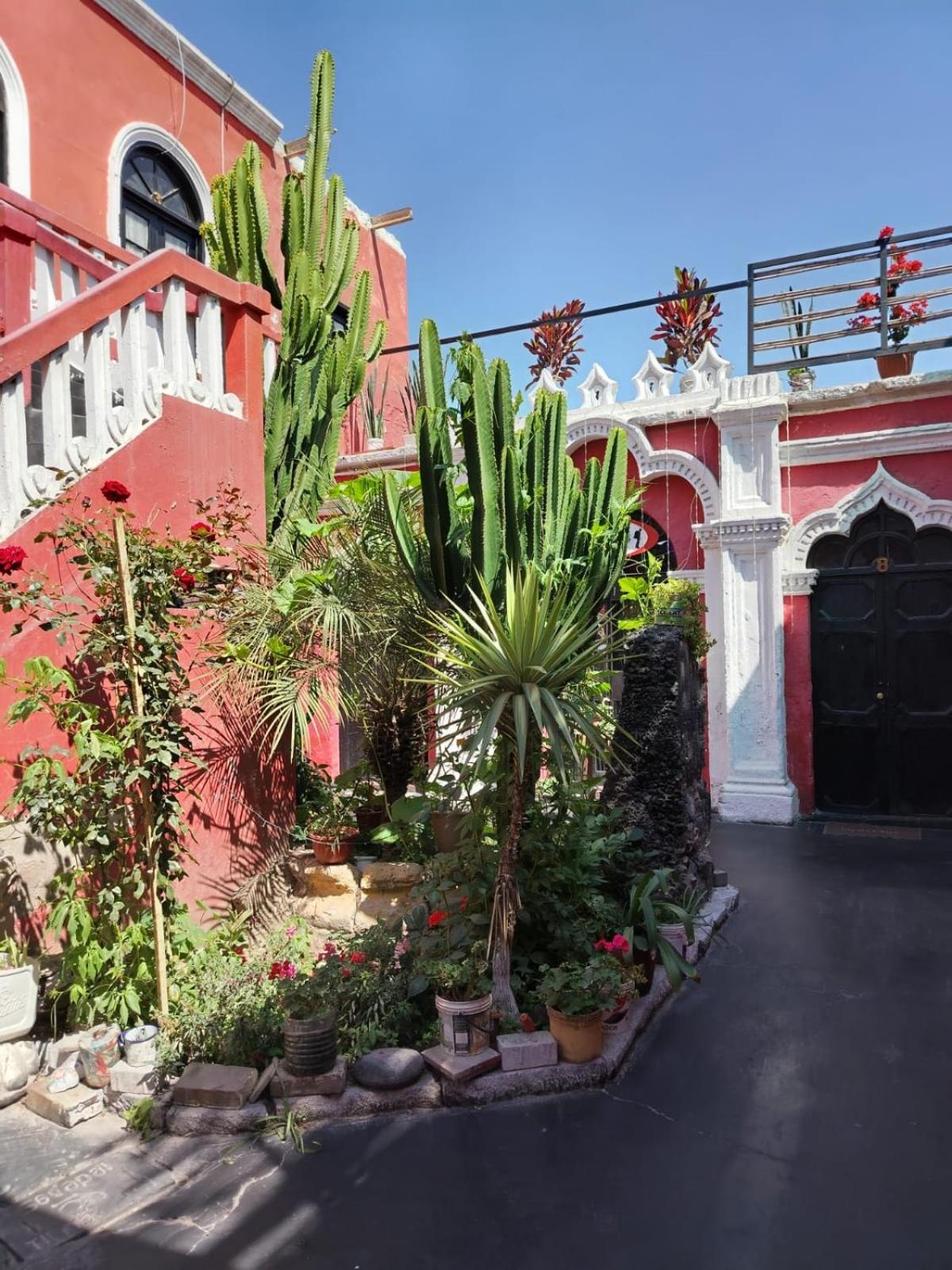 Casa Tusty