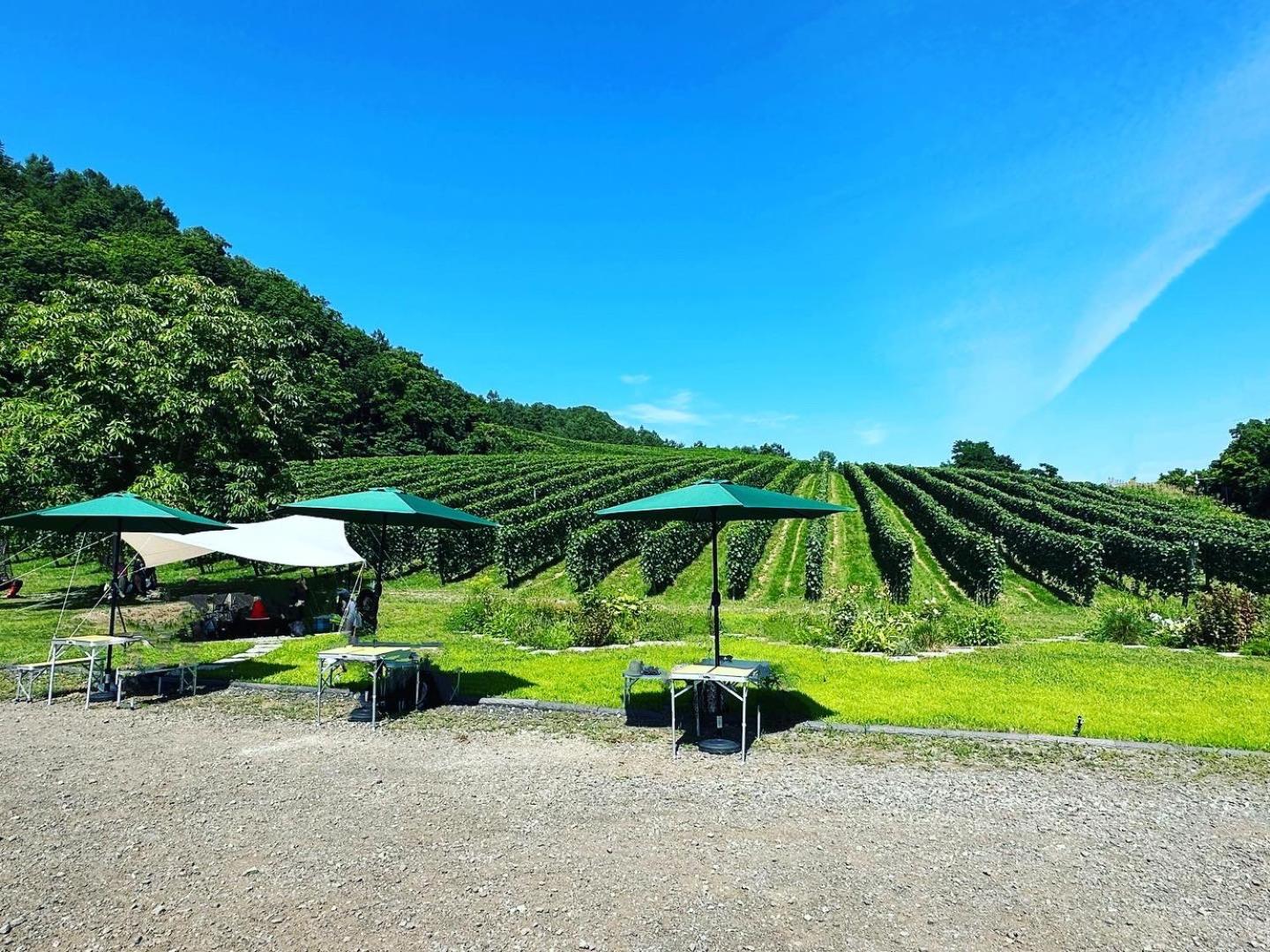 Domaine Bless view 4