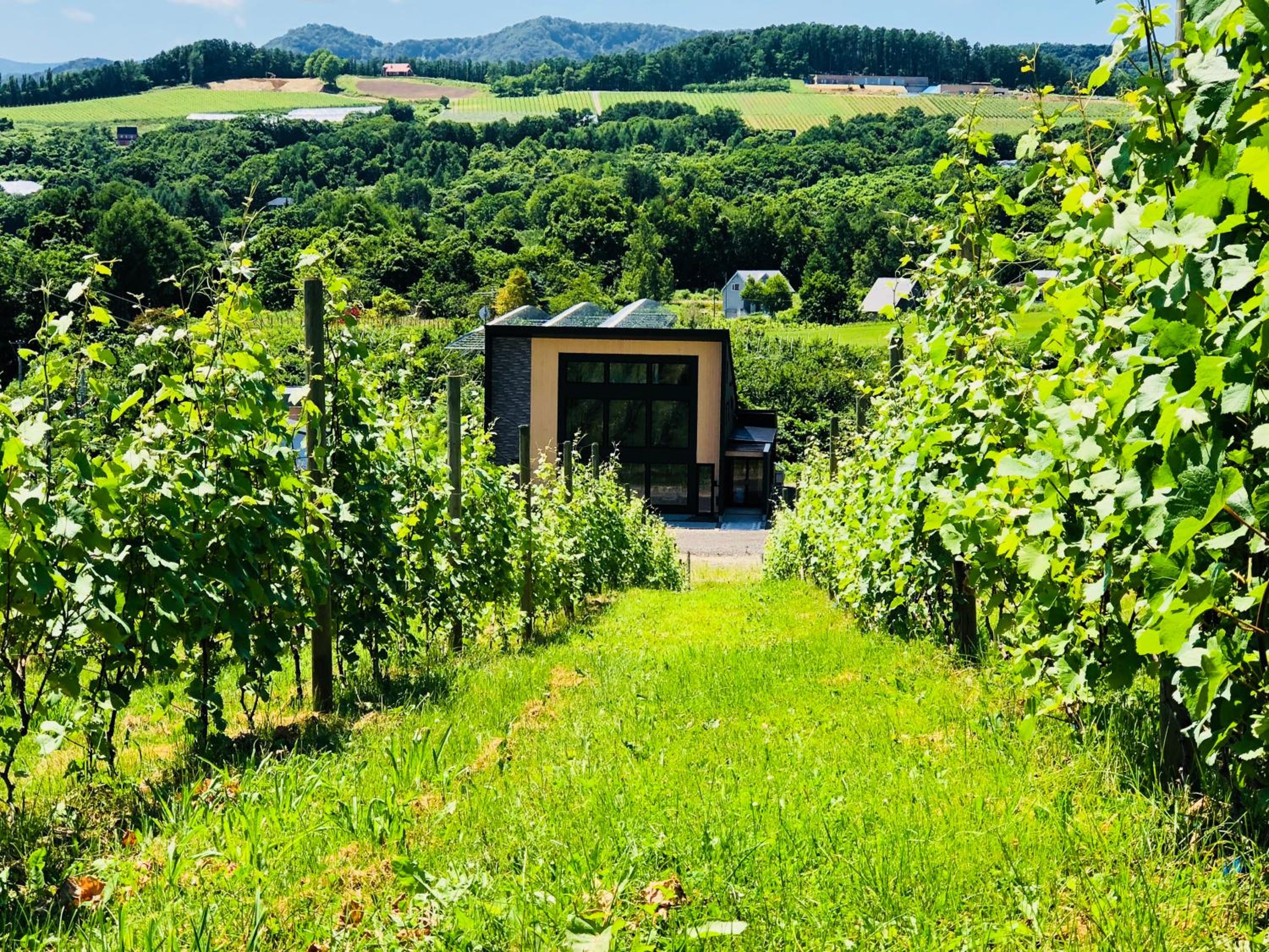 Domaine Bless view 2