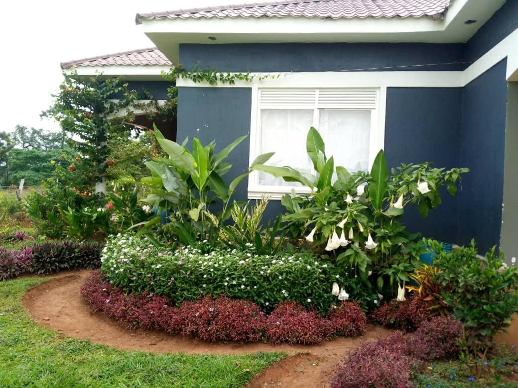 Kalunga Holiday Home
