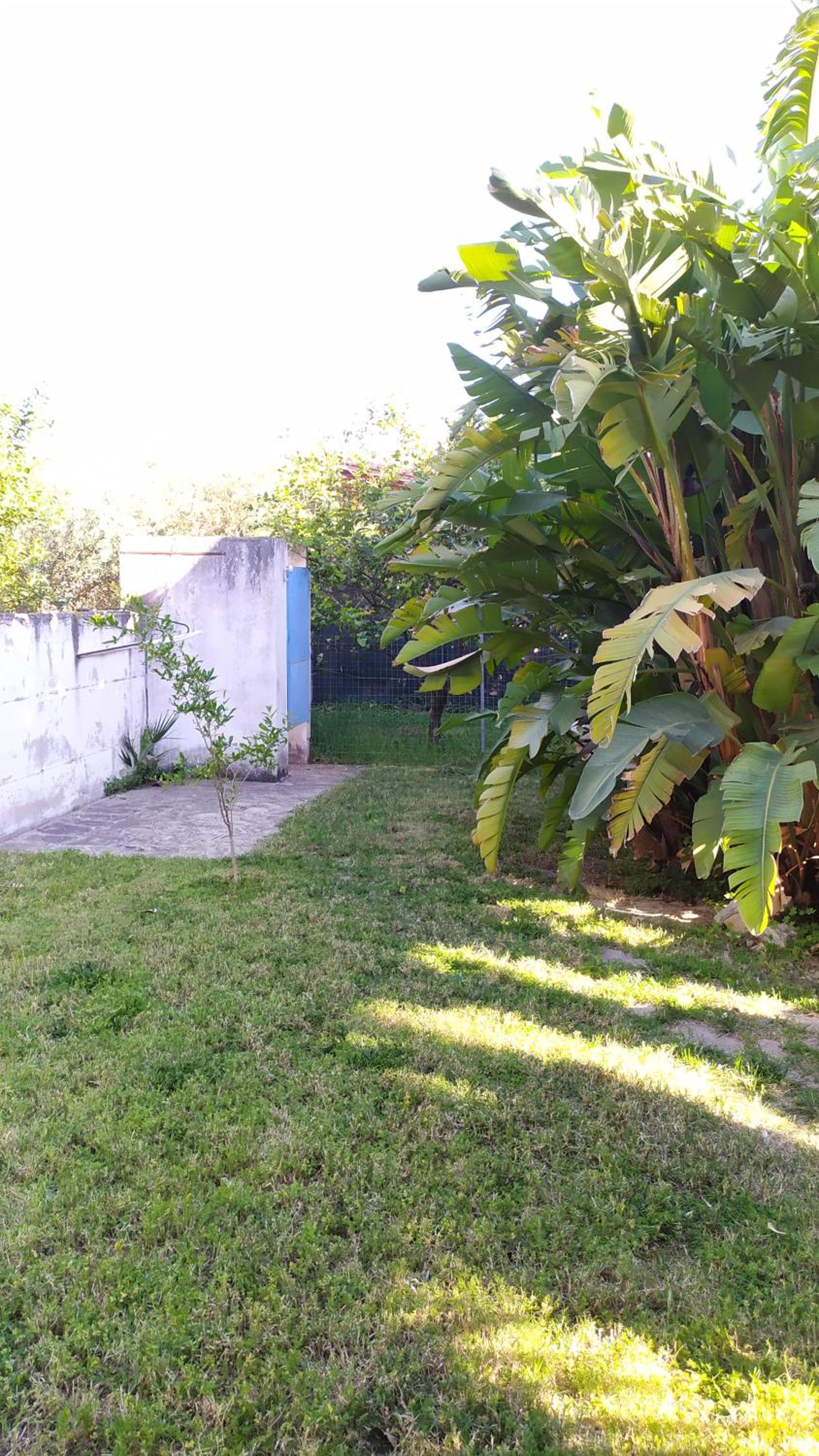 Villa con giardino sul lungomare view 3