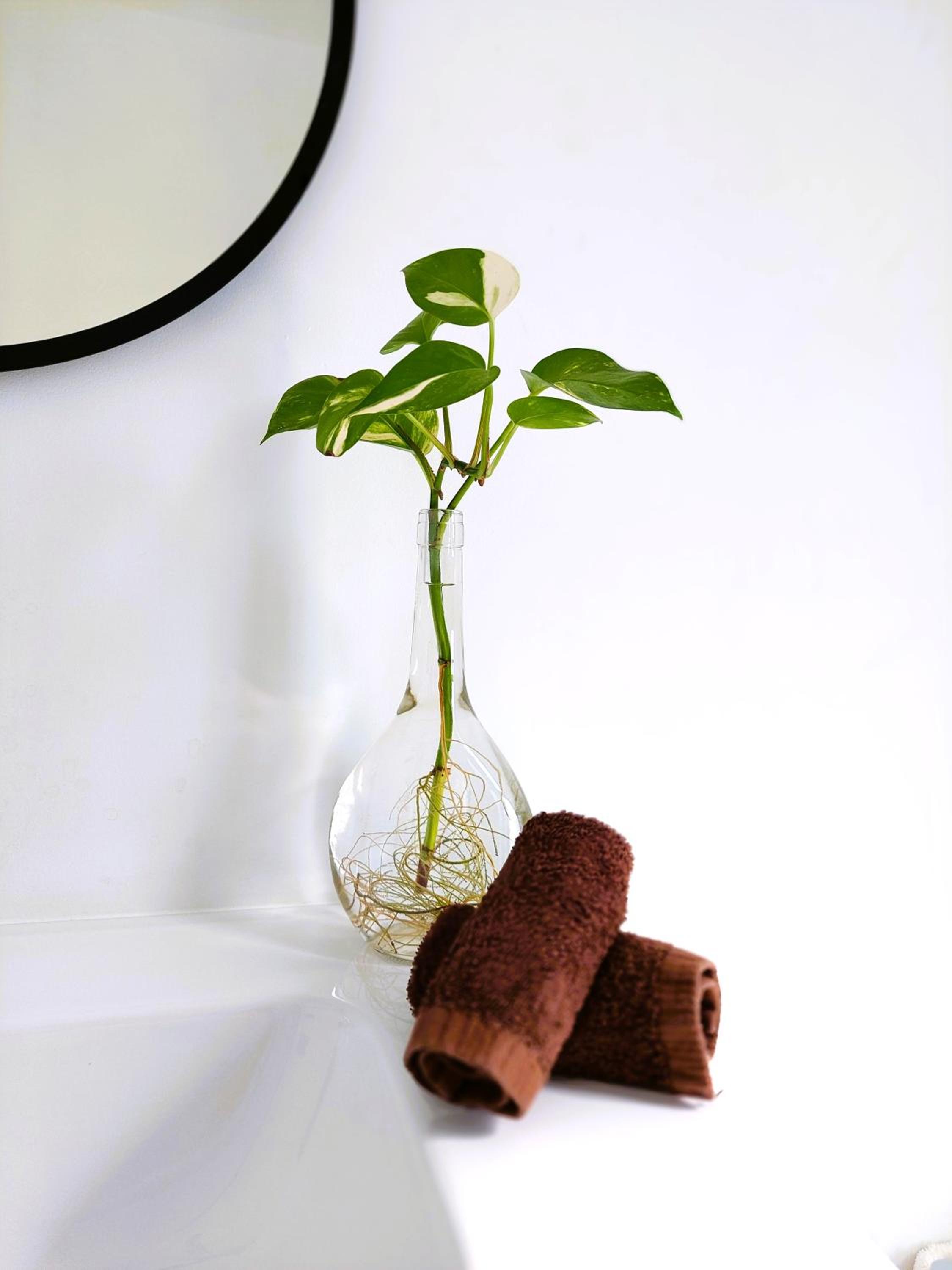 Photo 40