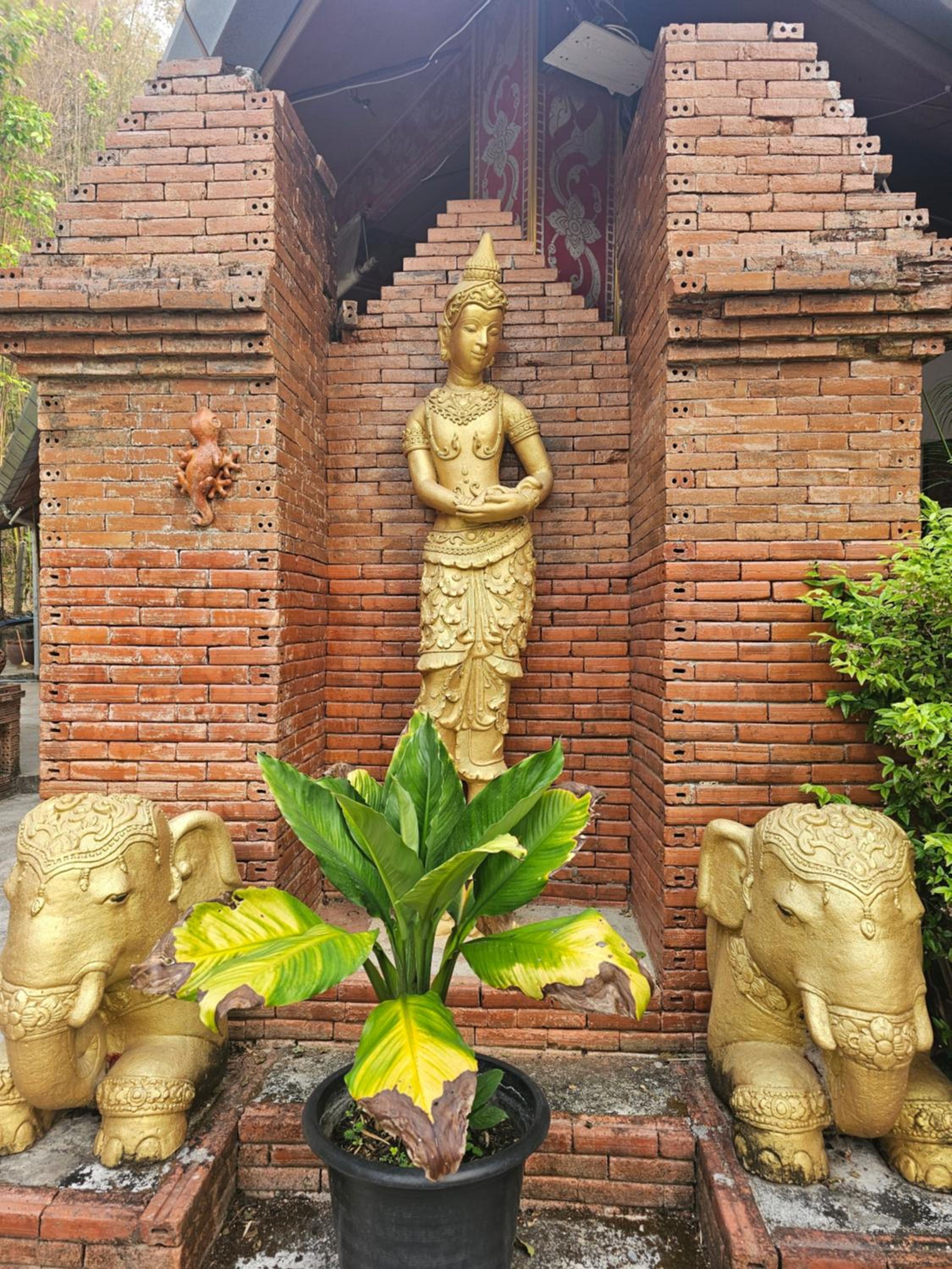 Phu Jaya Floresta Resort by ALPHATEL PARTNER view 5