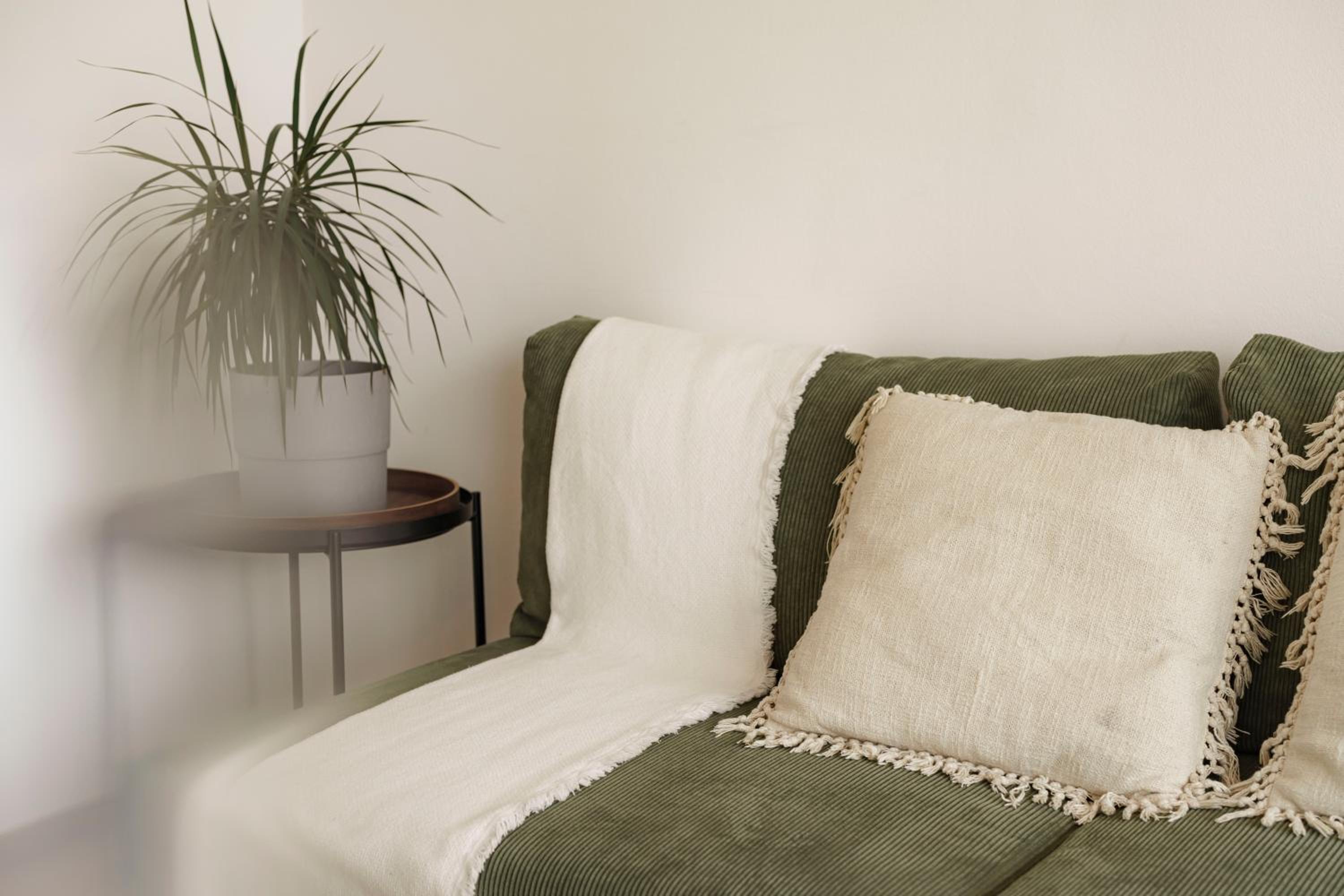 Mountain View Suites