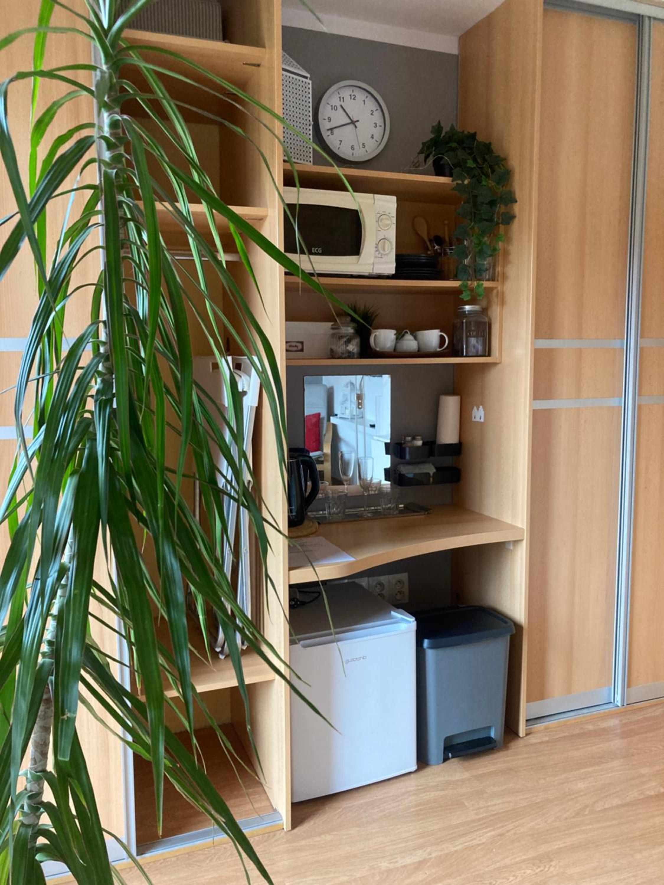 Podkrovní apartmán s balkónem