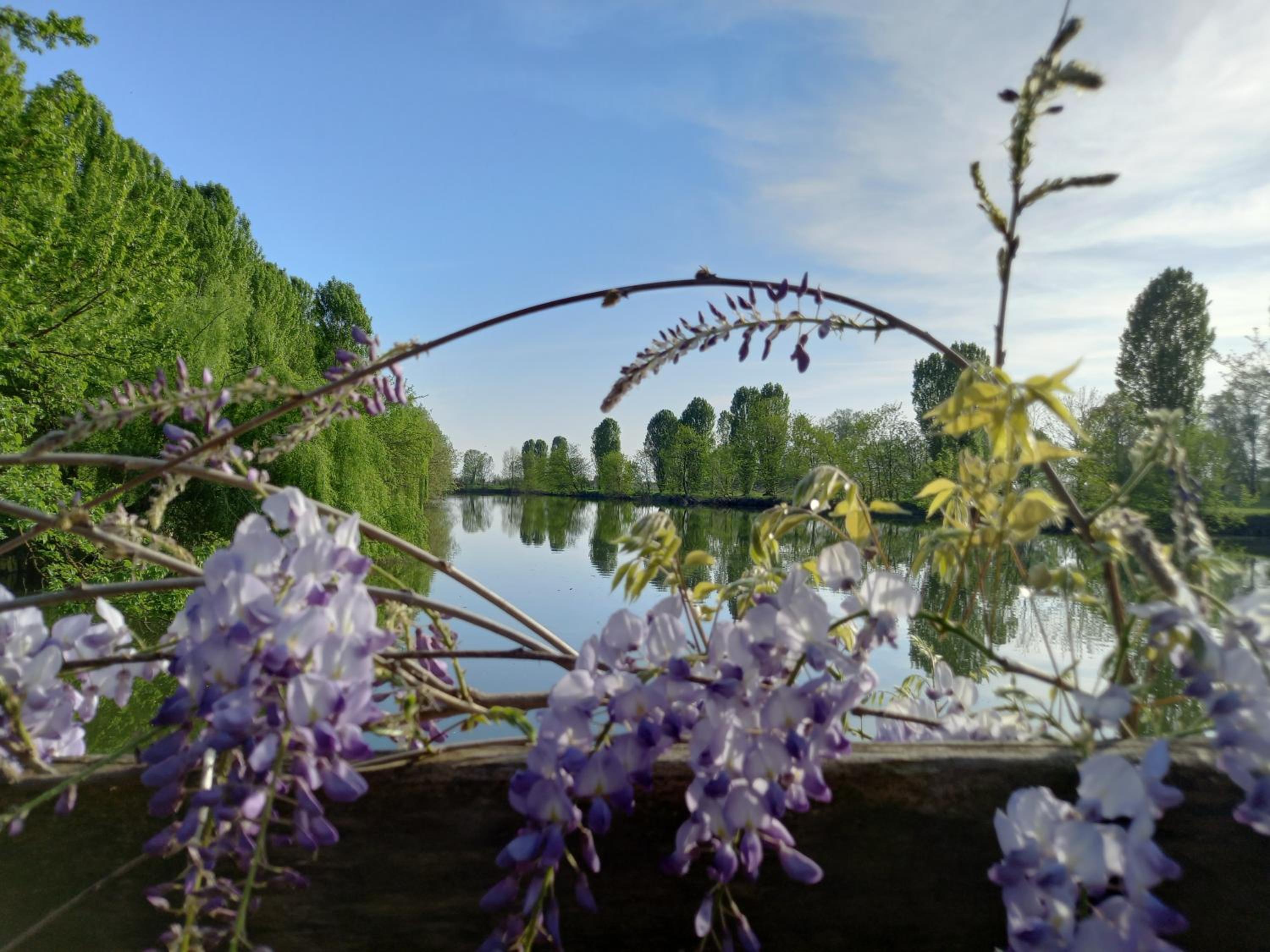 Agriturismo Adriano Pedretti